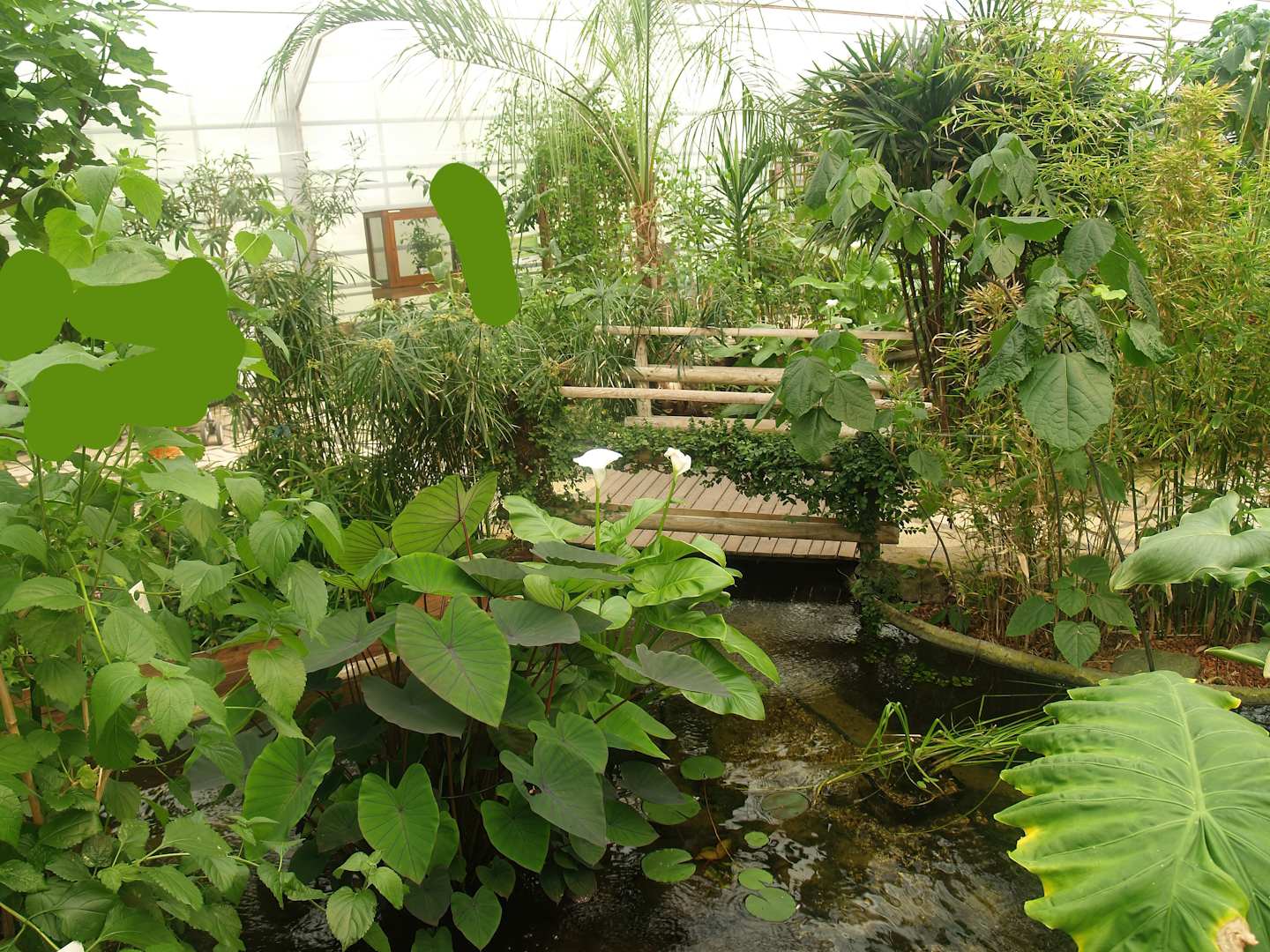 Knokke-Heist butterfly garden (Closed in 2010) - View in greenhouse, 2007-04-22
