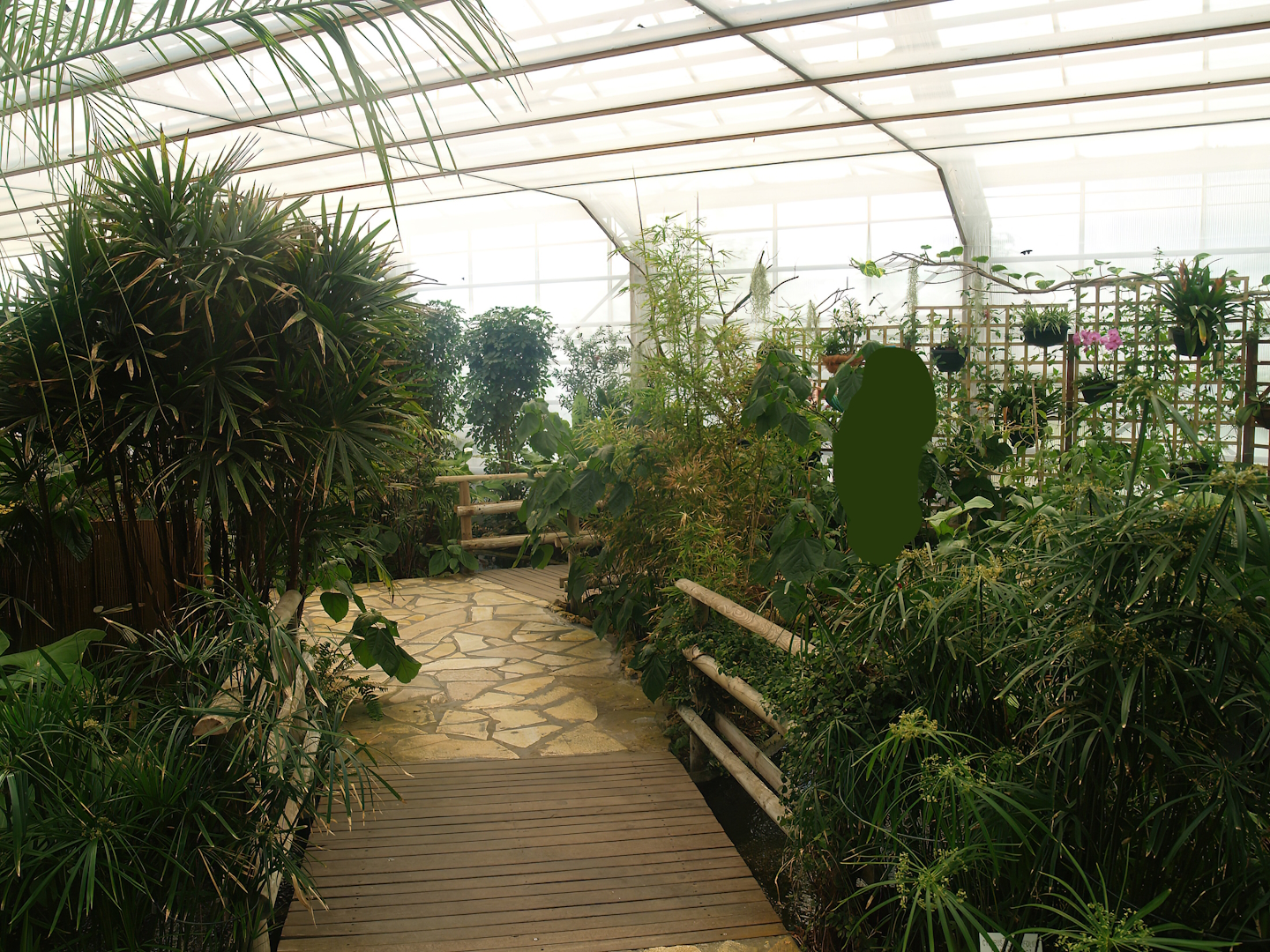 Knokke-Heist butterfly garden (Closed in 2010) - View in greenhouse, 2007-04-22