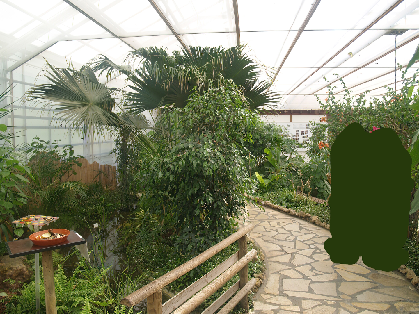 Knokke-Heist butterfly garden (Closed in 2010) - View in greenhouse, 2007-04-22