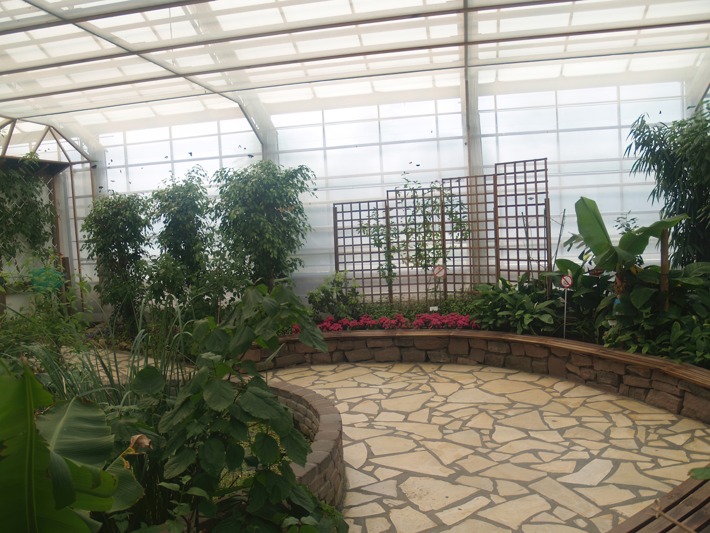 Knokke-Heist butterfly garden (Closed in 2010) - View in greenhouse, 2007-04-22