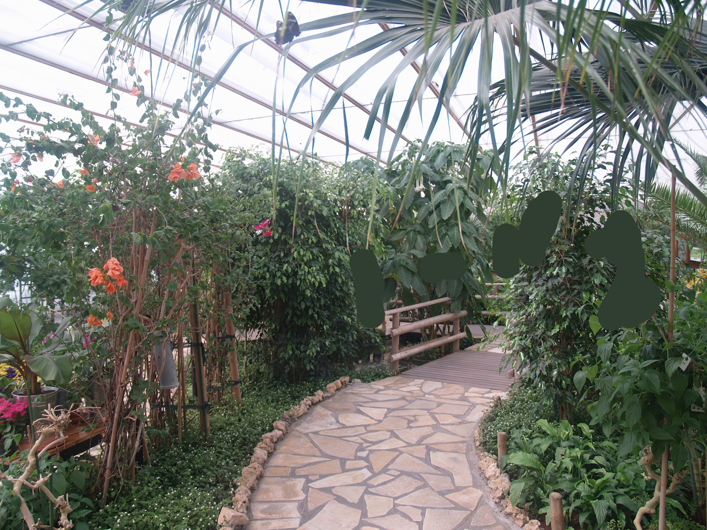 Knokke-Heist butterfly garden (Closed in 2010) - View in greenhouse, 2007-04-22