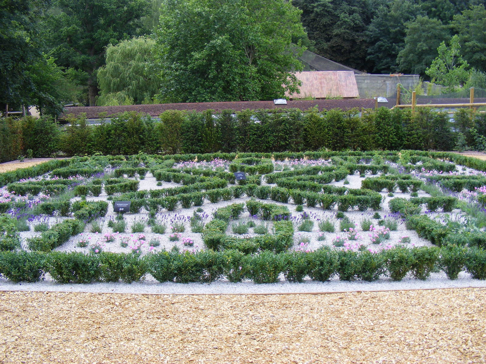 Knot garden at Marwell Wildlife, 11 July 2010