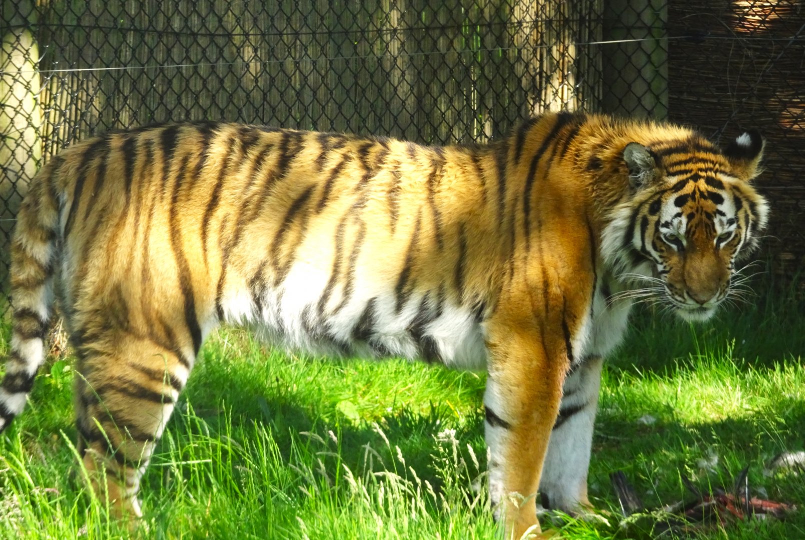 Knowsley Safari - 1 June 2025