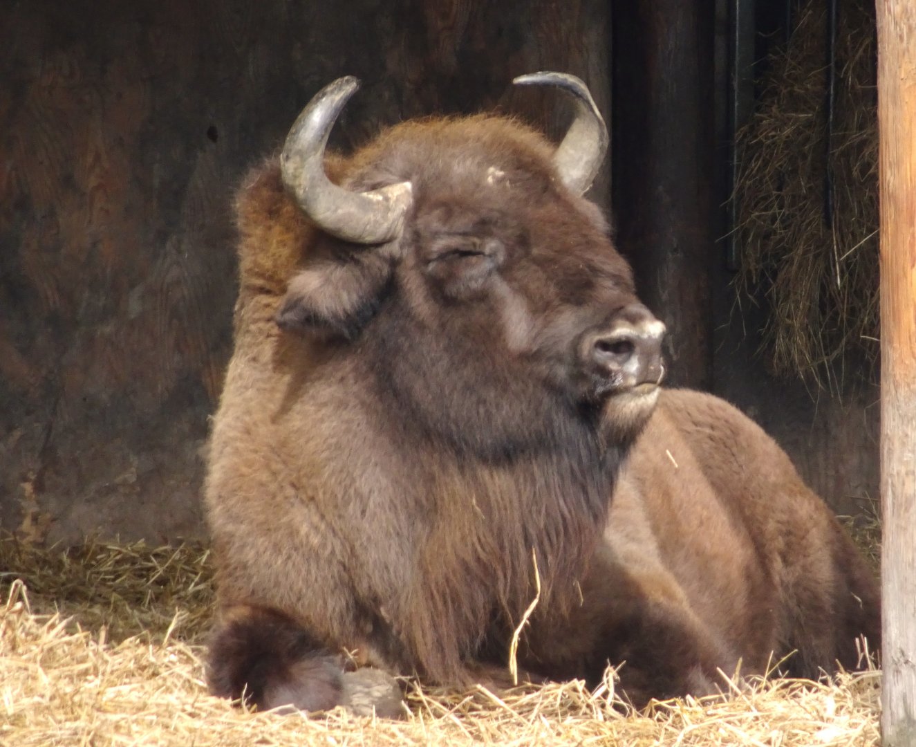 Knowsley Safari     22 March 2025