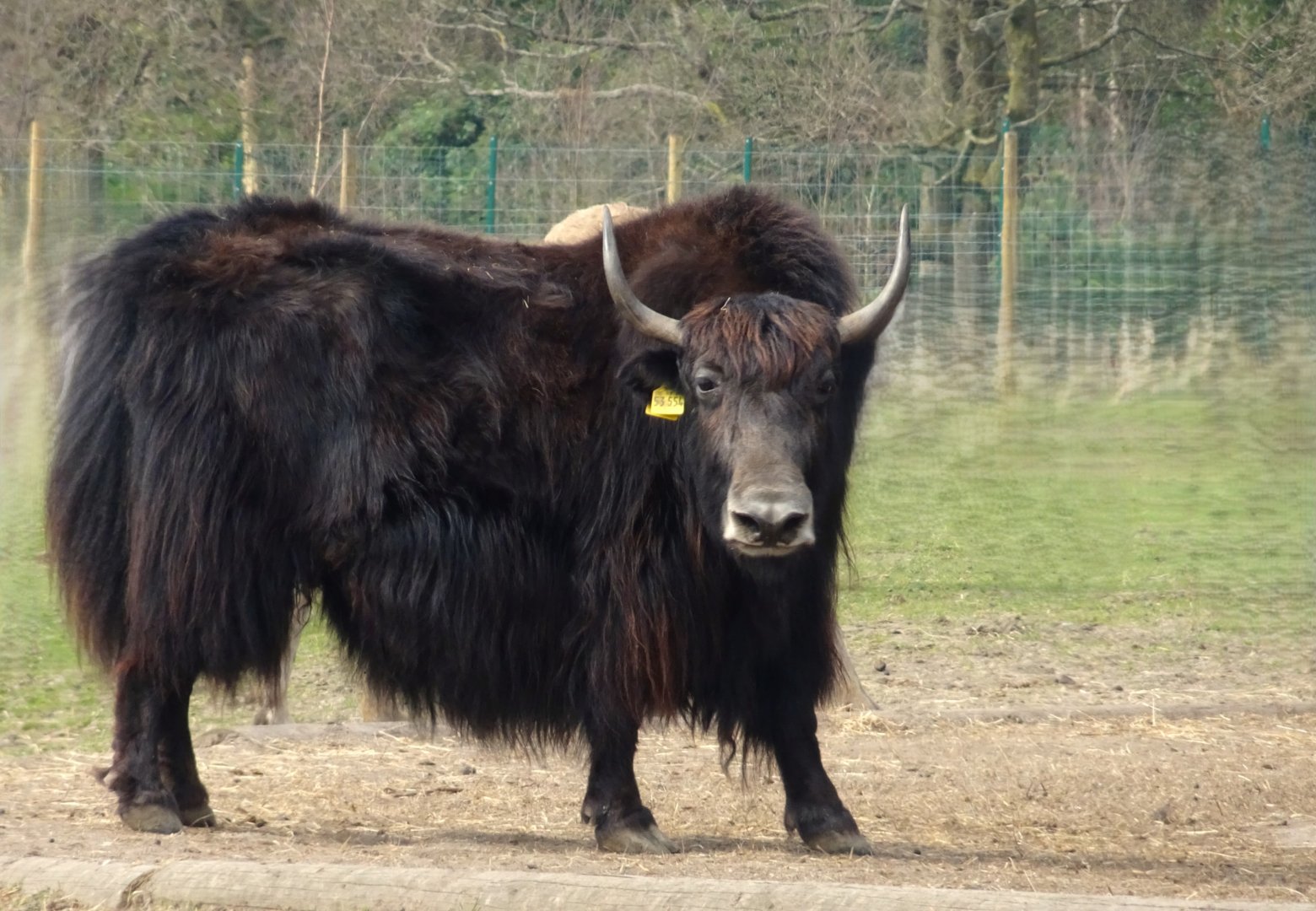 Knowsley Safari     22 March 2025