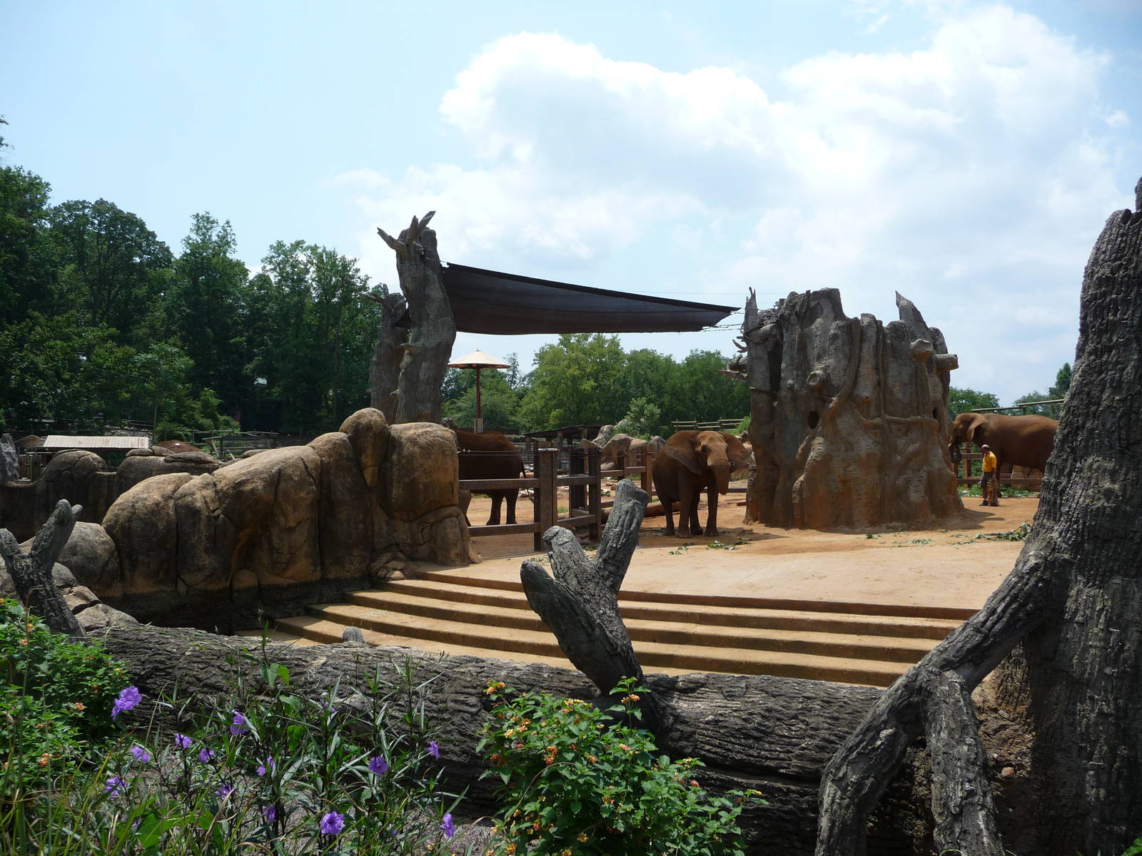 Knoxville Zoo - African Elephant Exhibit
