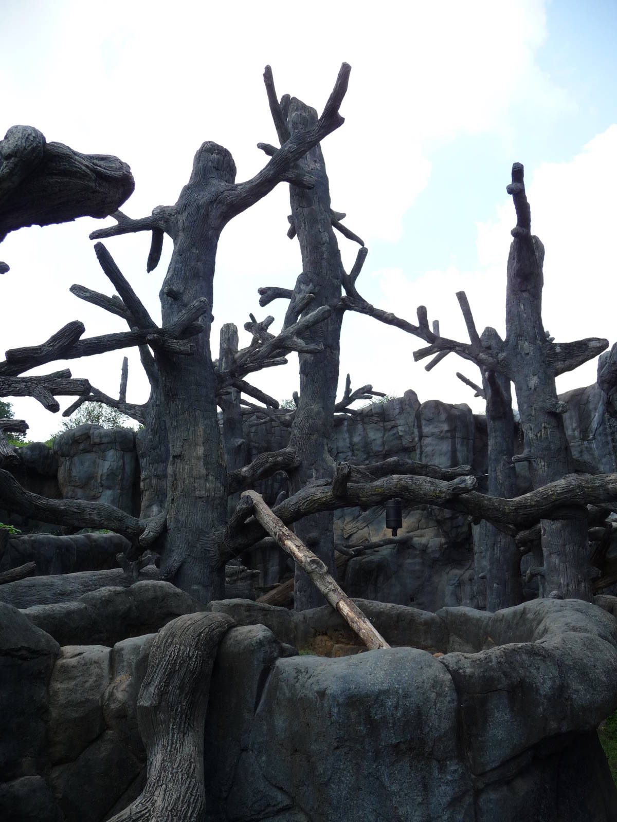 Knoxville Zoo - Black Bear Exhibit