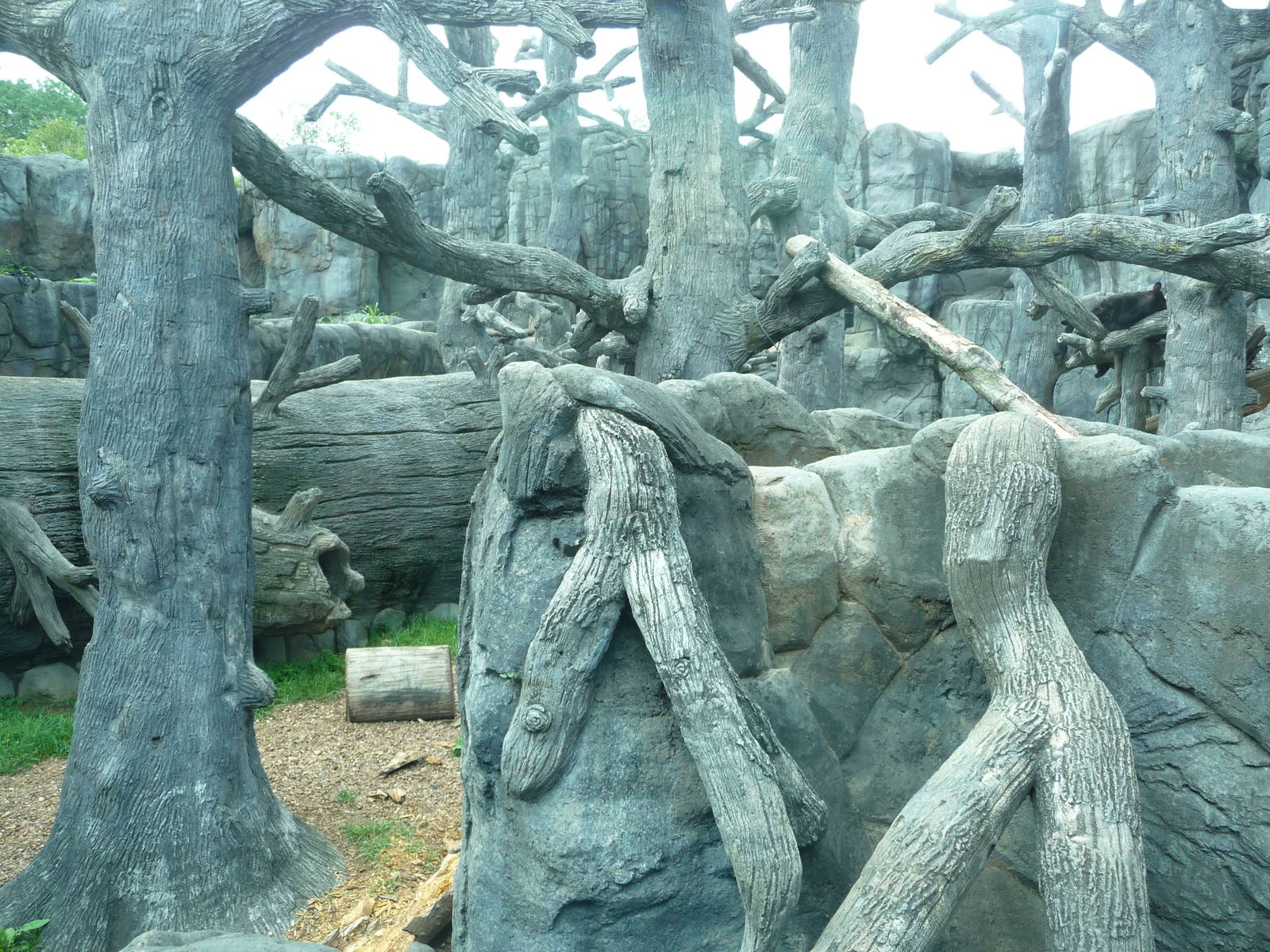 Knoxville Zoo - Black Bear Exhibit