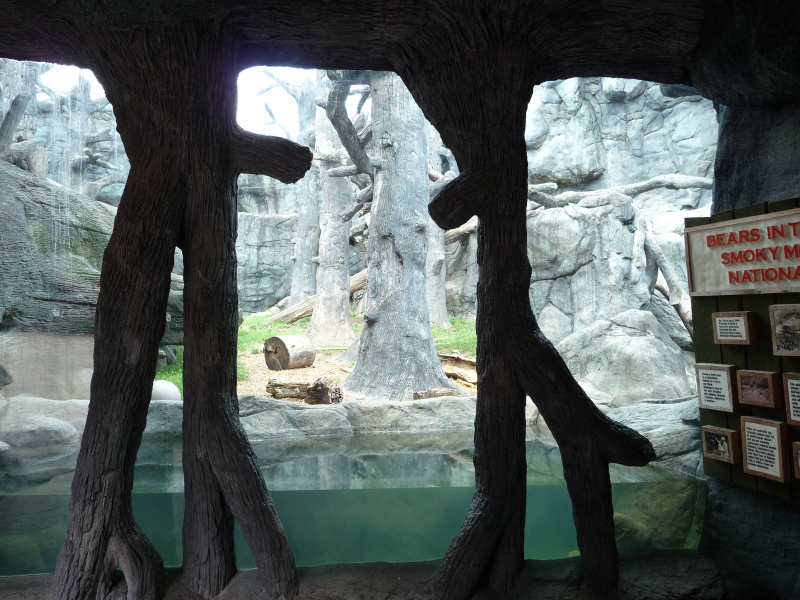 Knoxville Zoo - Black Bear Exhibit