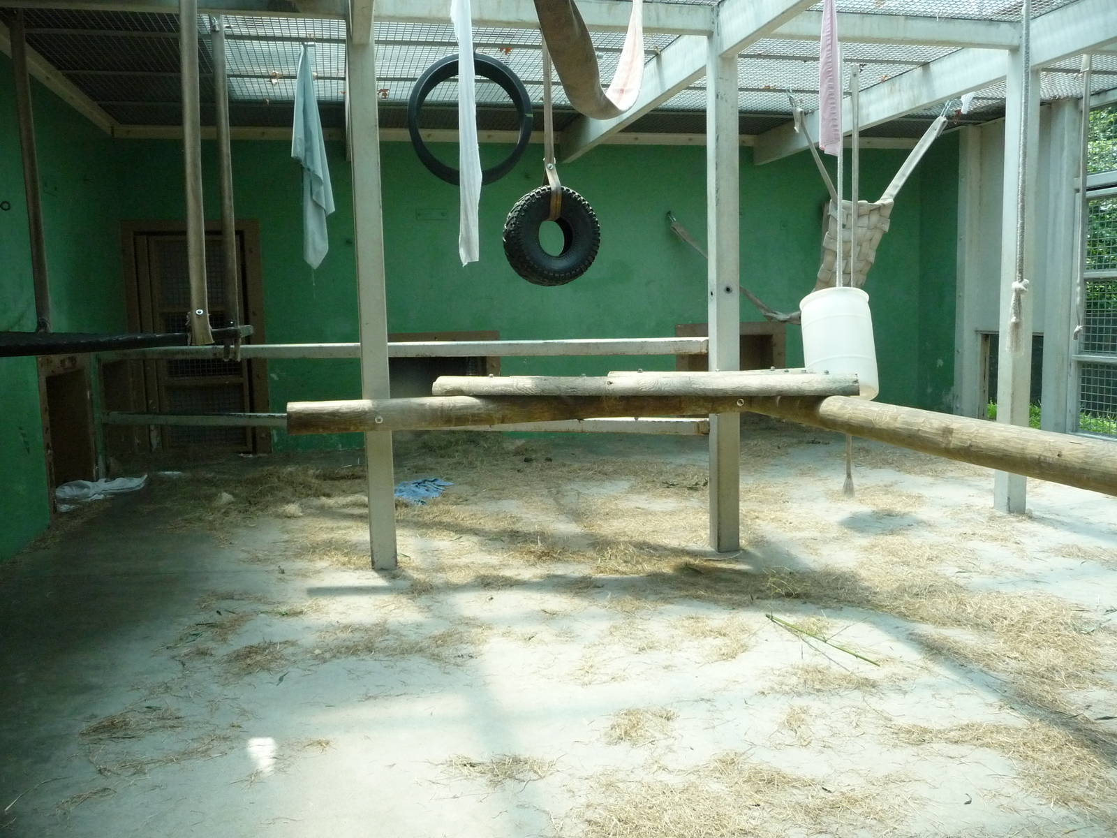 Knoxville Zoo - Chimpanzee Indoor Exhibit