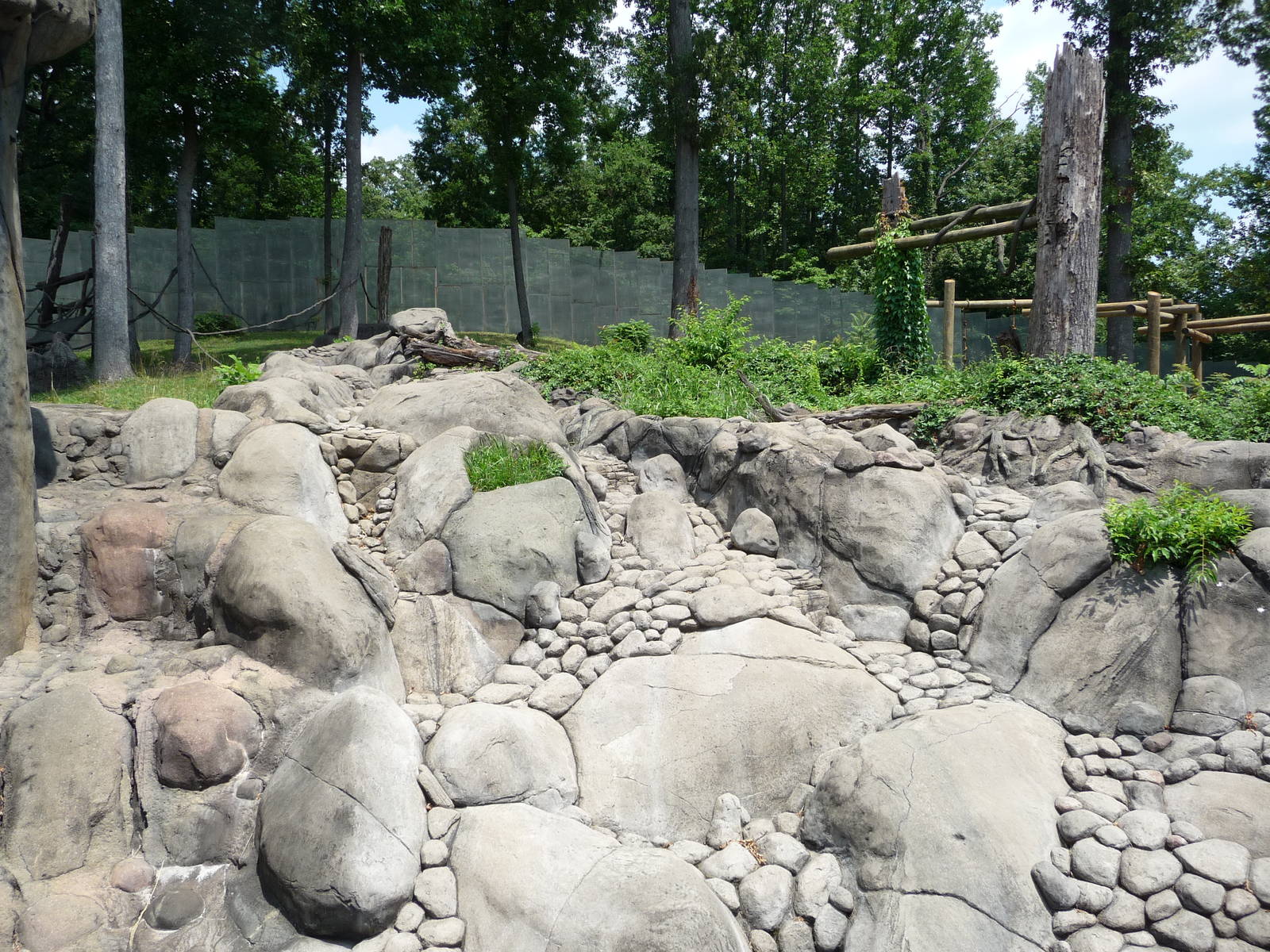 Knoxville Zoo - Chimpanzee Outdoor Exhibit