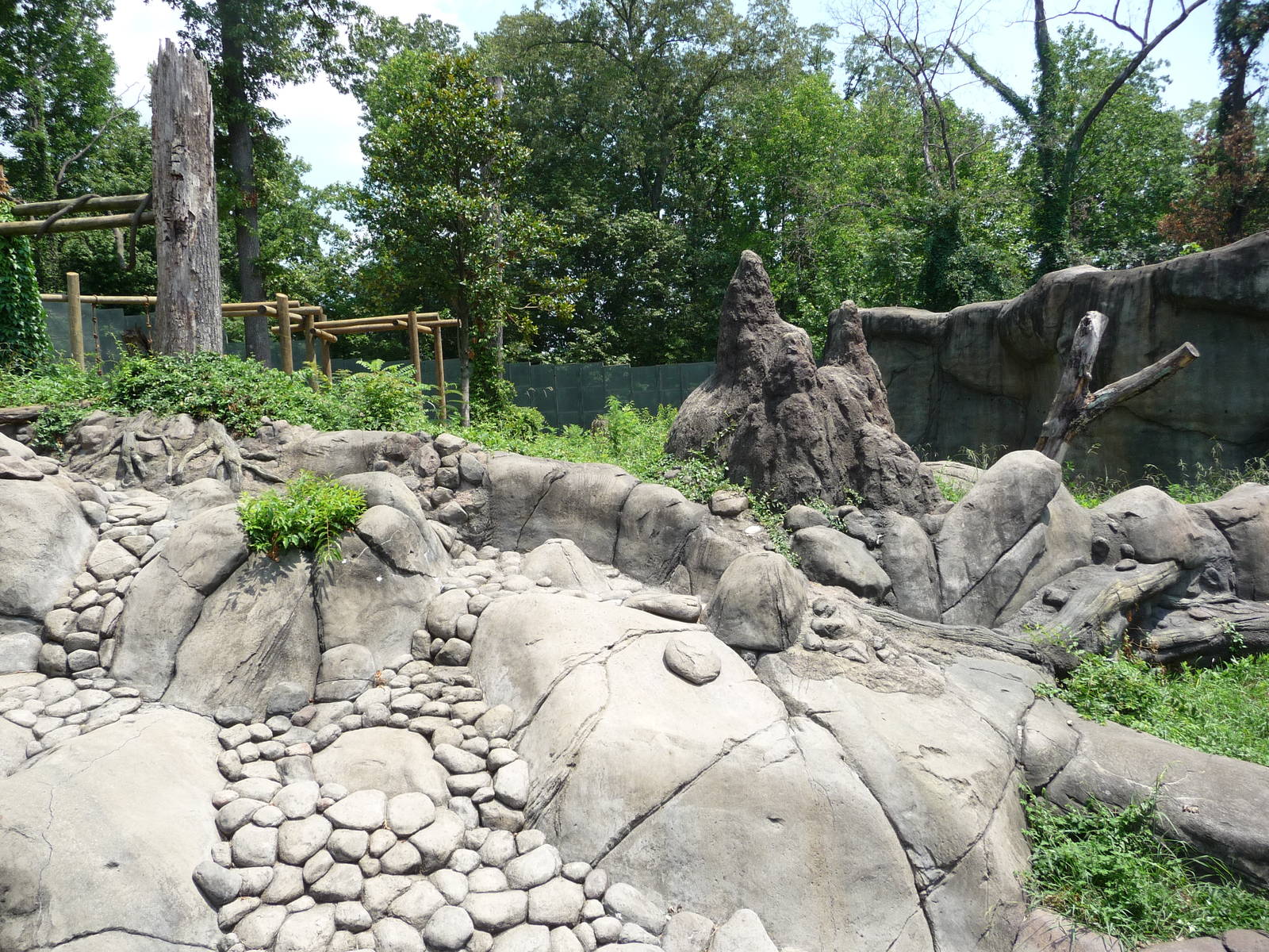 Knoxville Zoo - Chimpanzee Outdoor Exhibit