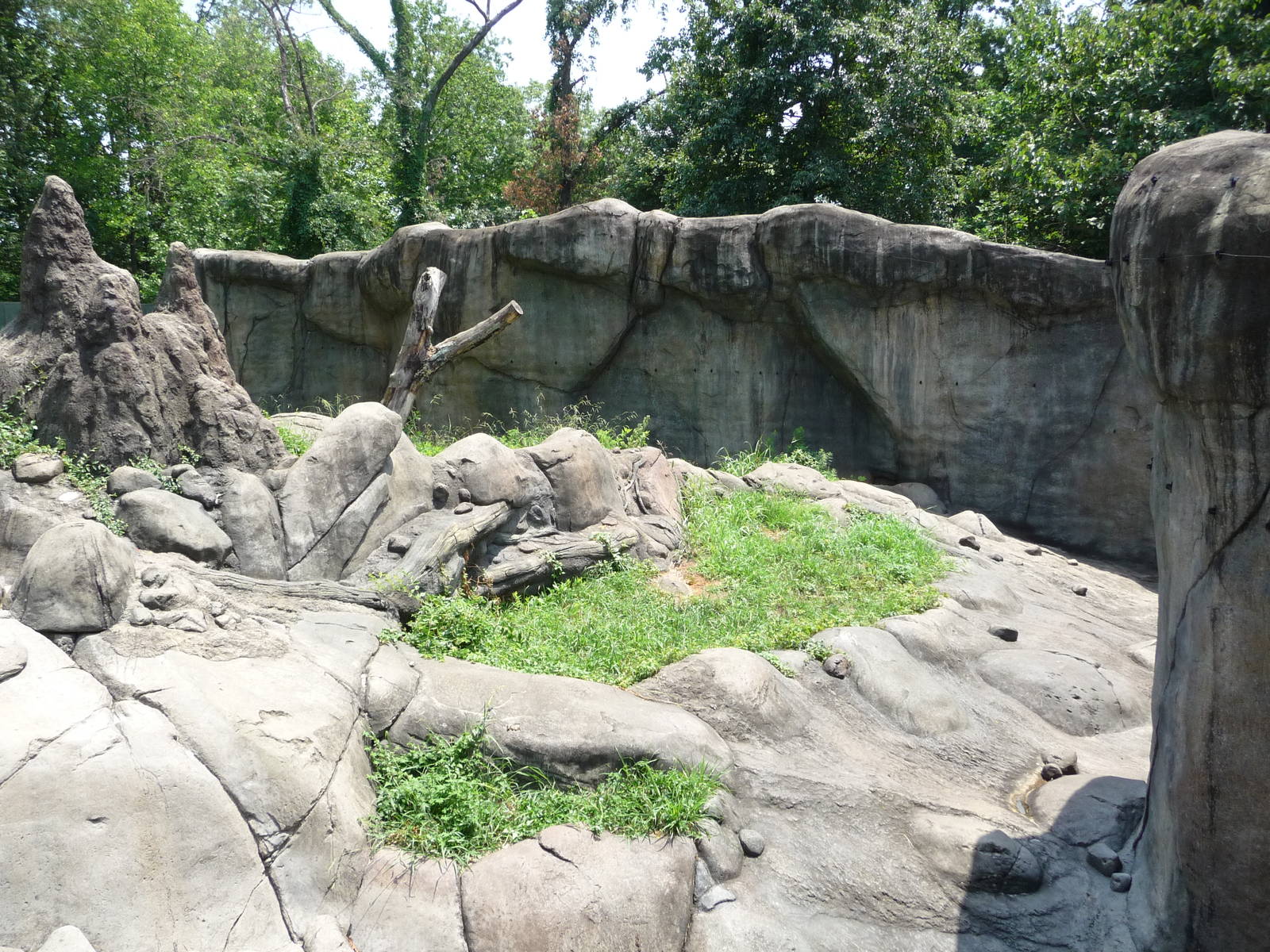 Knoxville Zoo - Chimpanzee Outdoor Exhibit