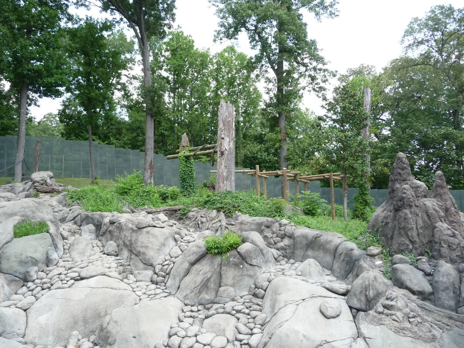 Knoxville Zoo - Chimpanzee Outdoor Exhibit