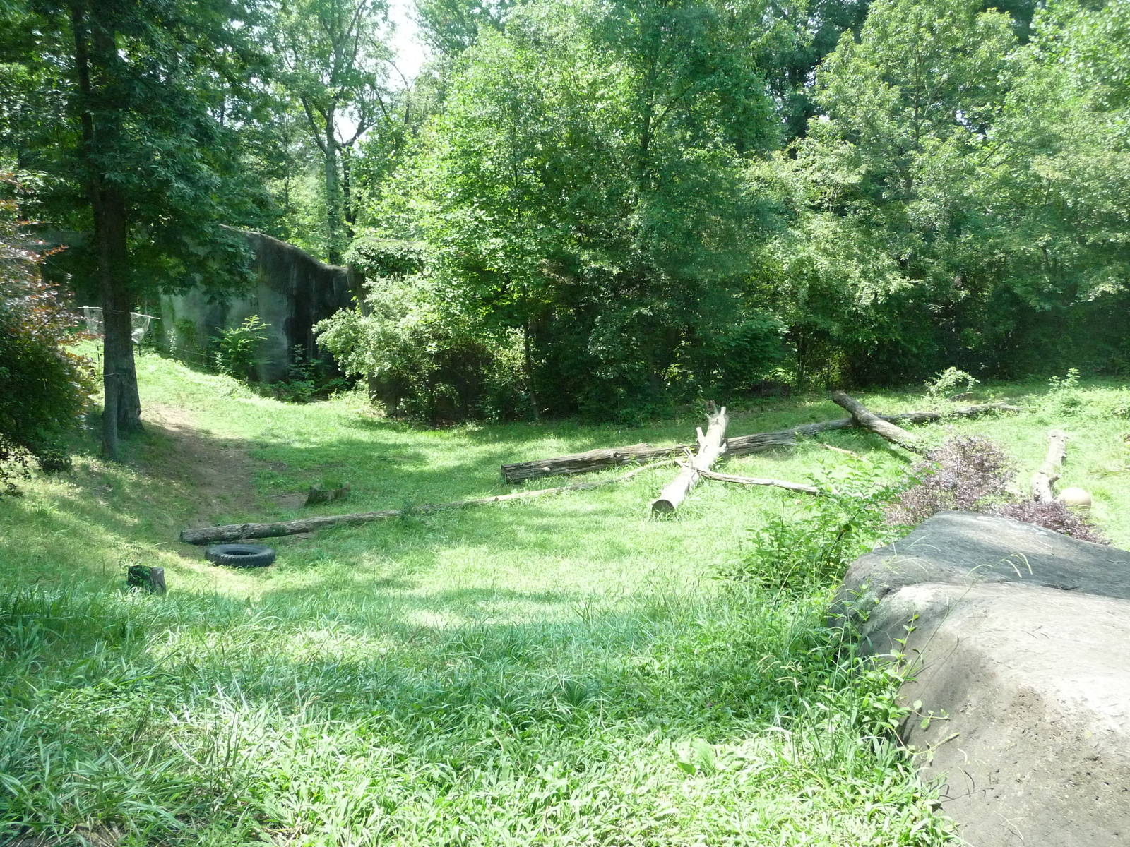 Knoxville Zoo - Gorilla Exhibit