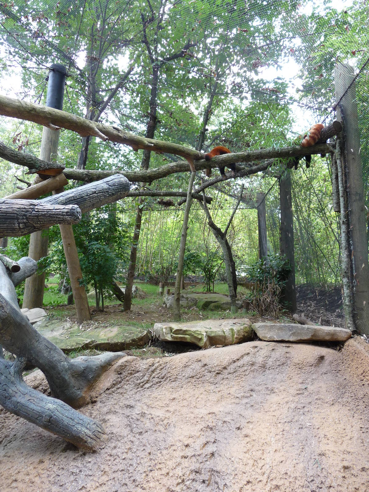 Knoxville Zoo - Red Panda Village