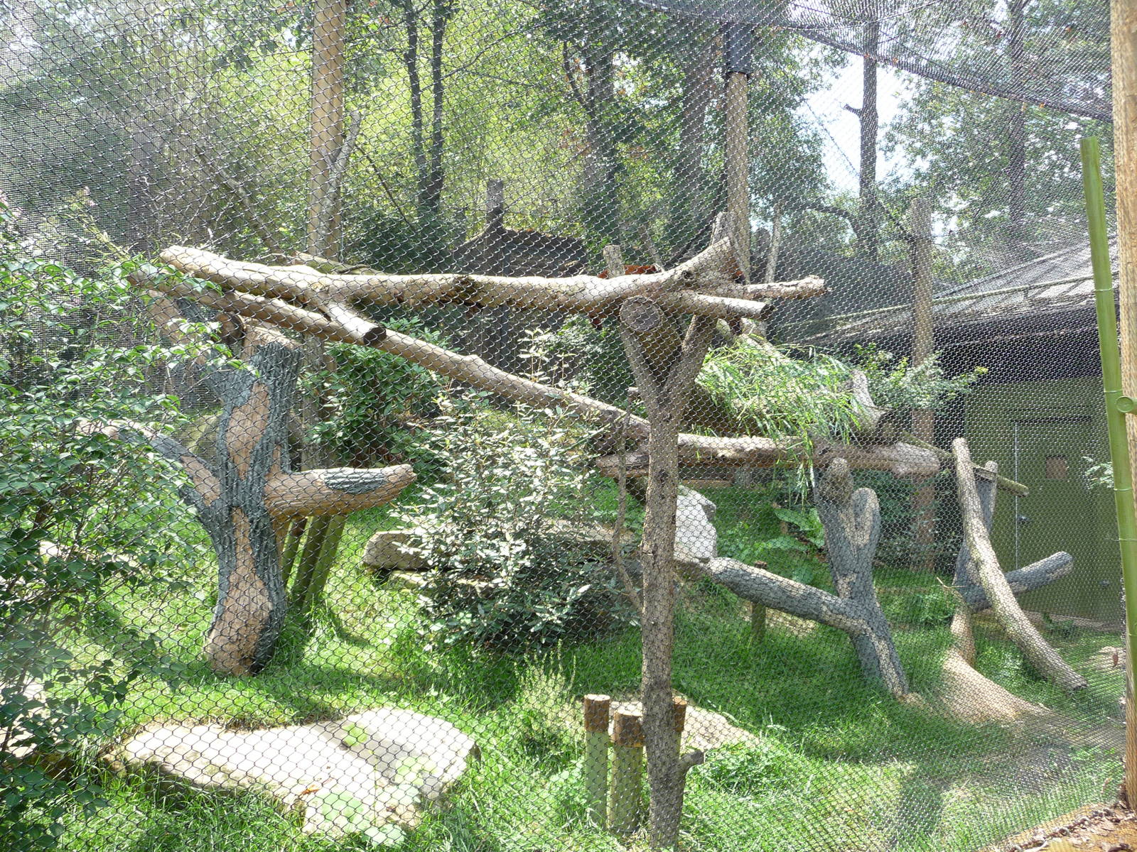 Knoxville Zoo - Red Panda Village