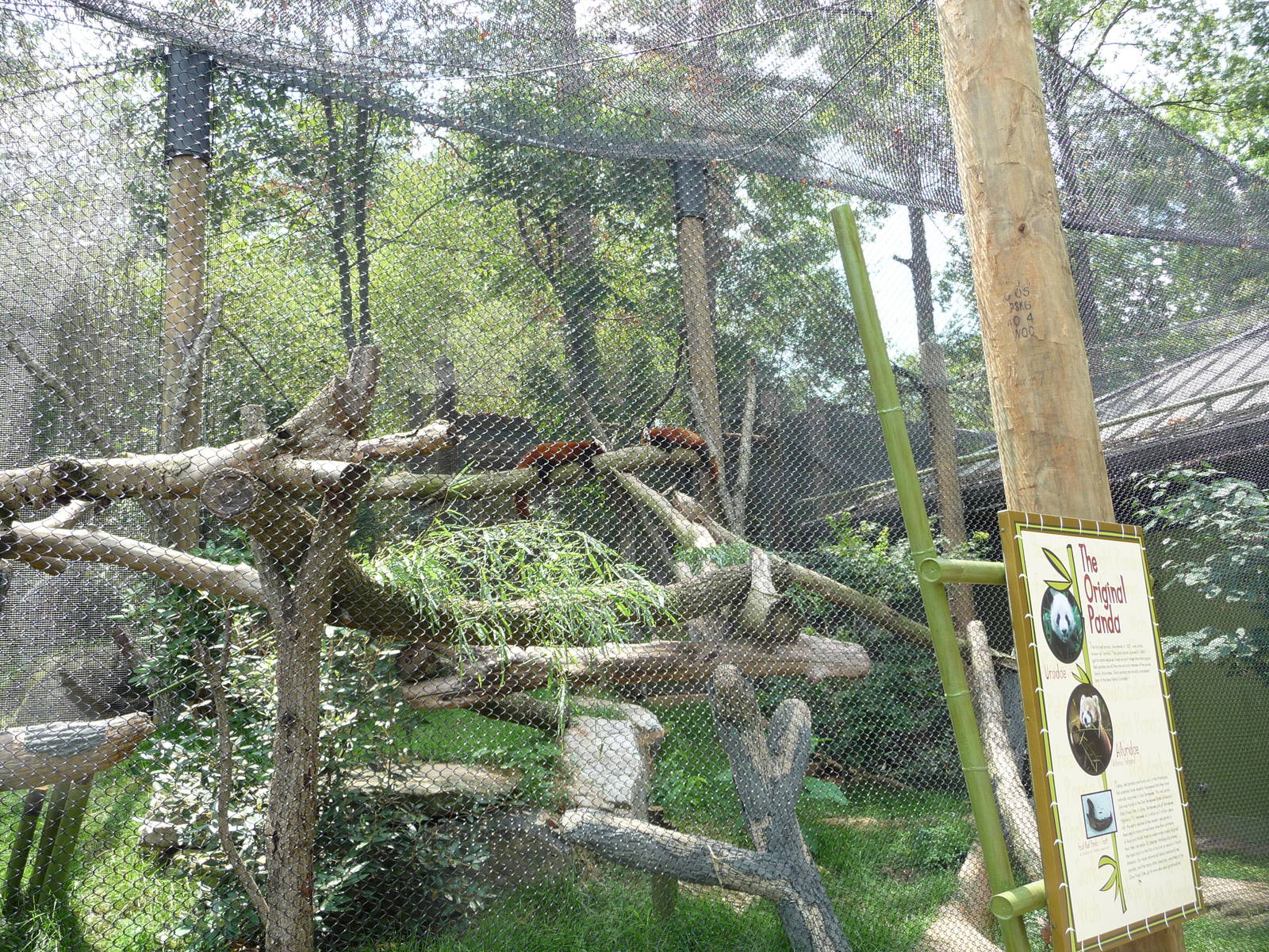 Knoxville Zoo - Red Panda Village
