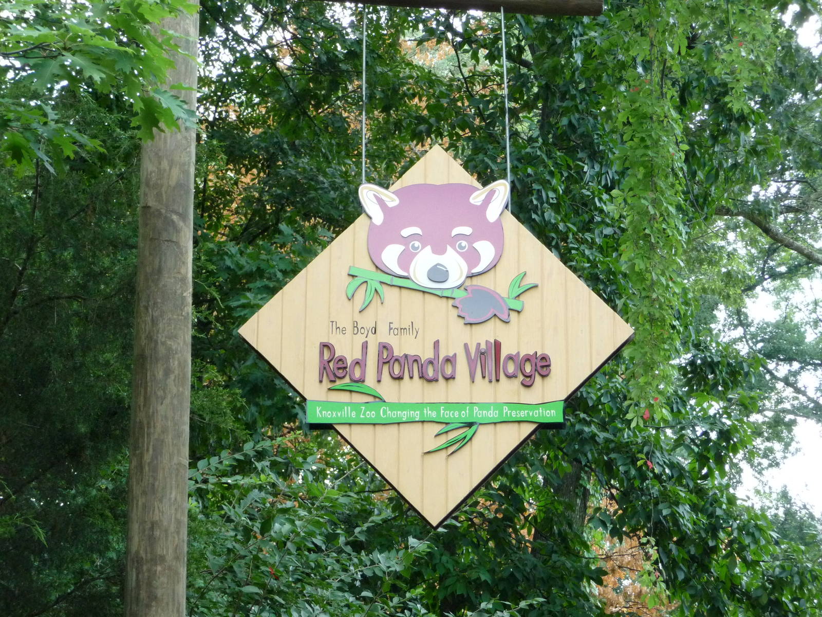 Knoxville Zoo - Red Panda Village