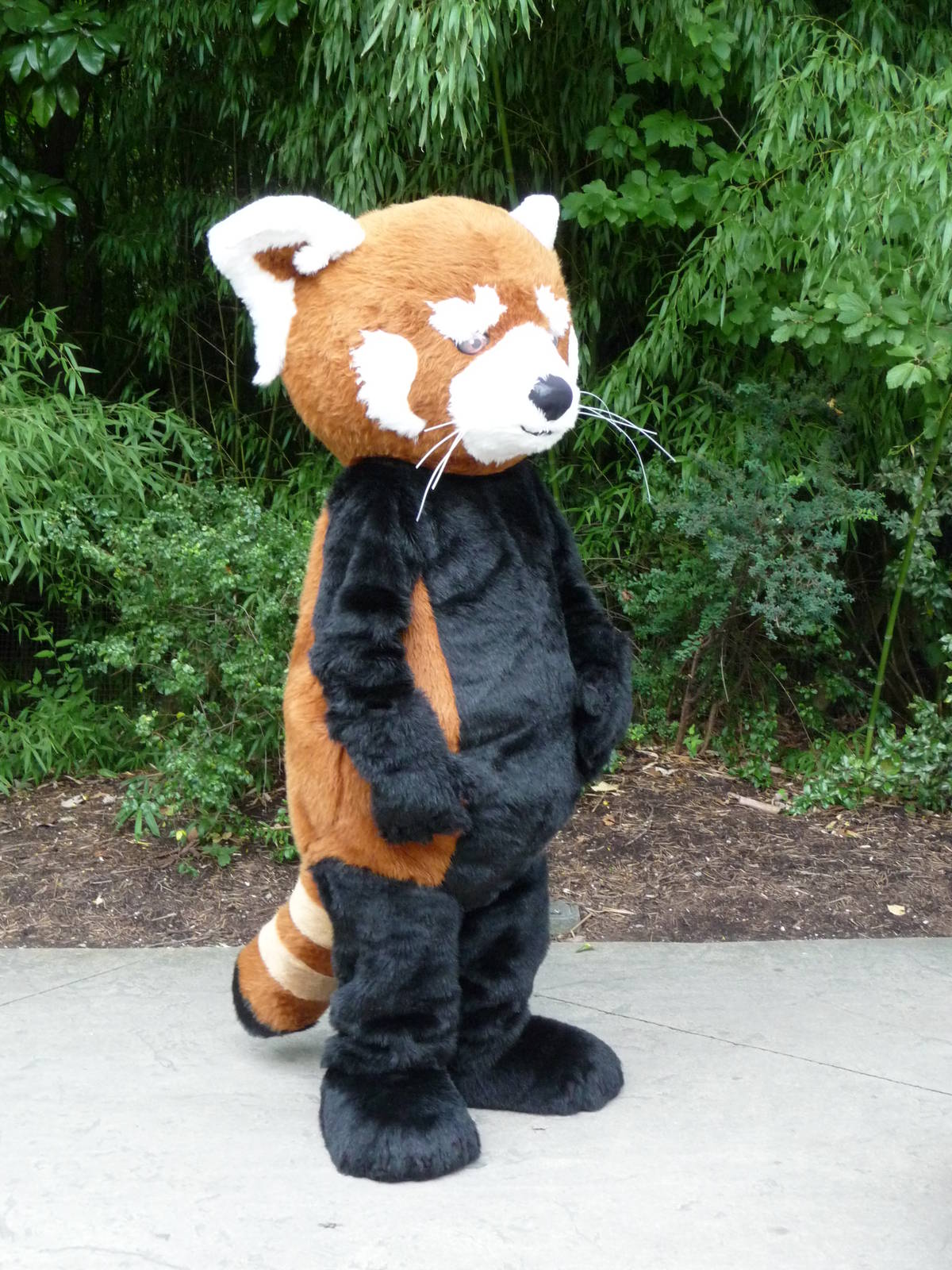 Knoxville Zoo - Red Panda Village