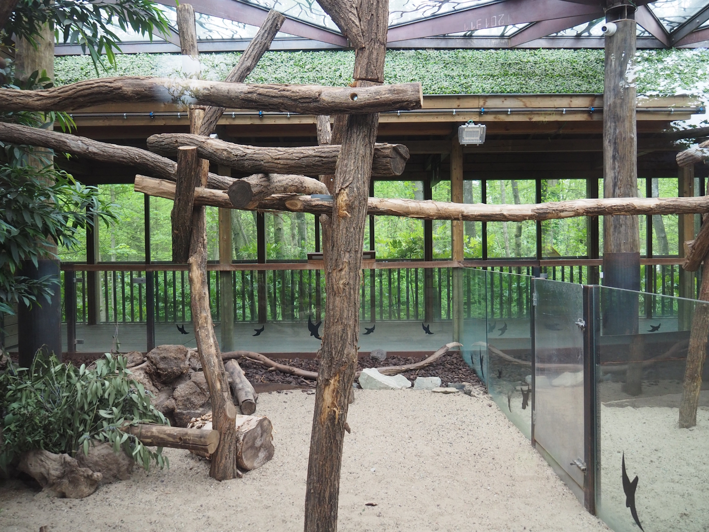 Koala and Long-nosed potoroo house, 2023-05-15