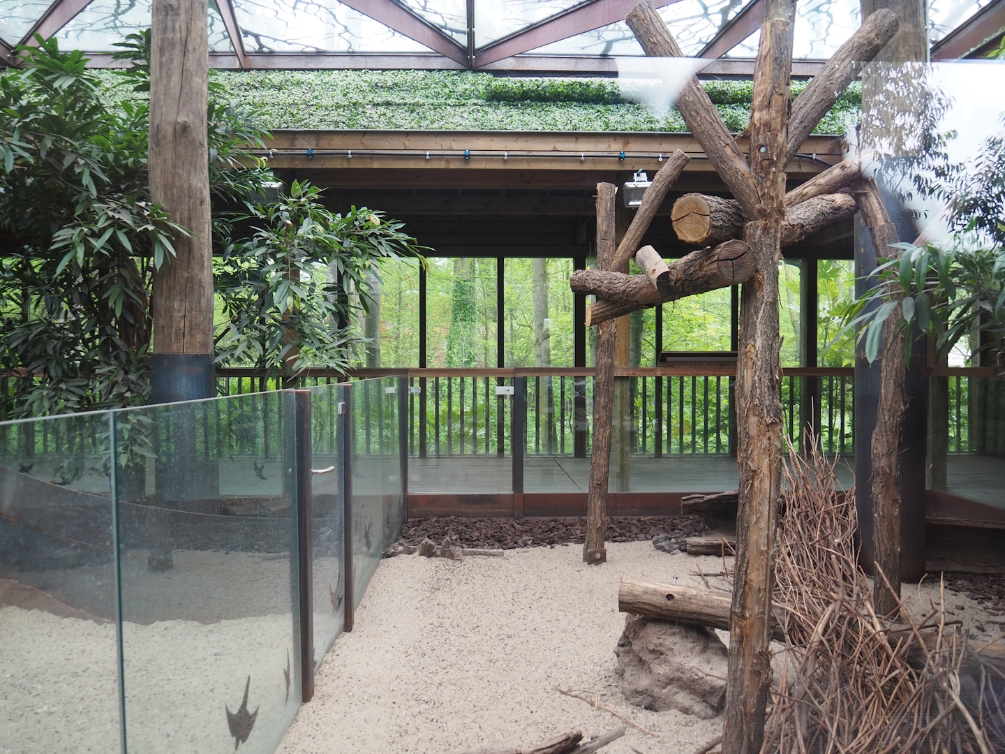 Koala and Long-nosed potoroo house, 2023-05-15