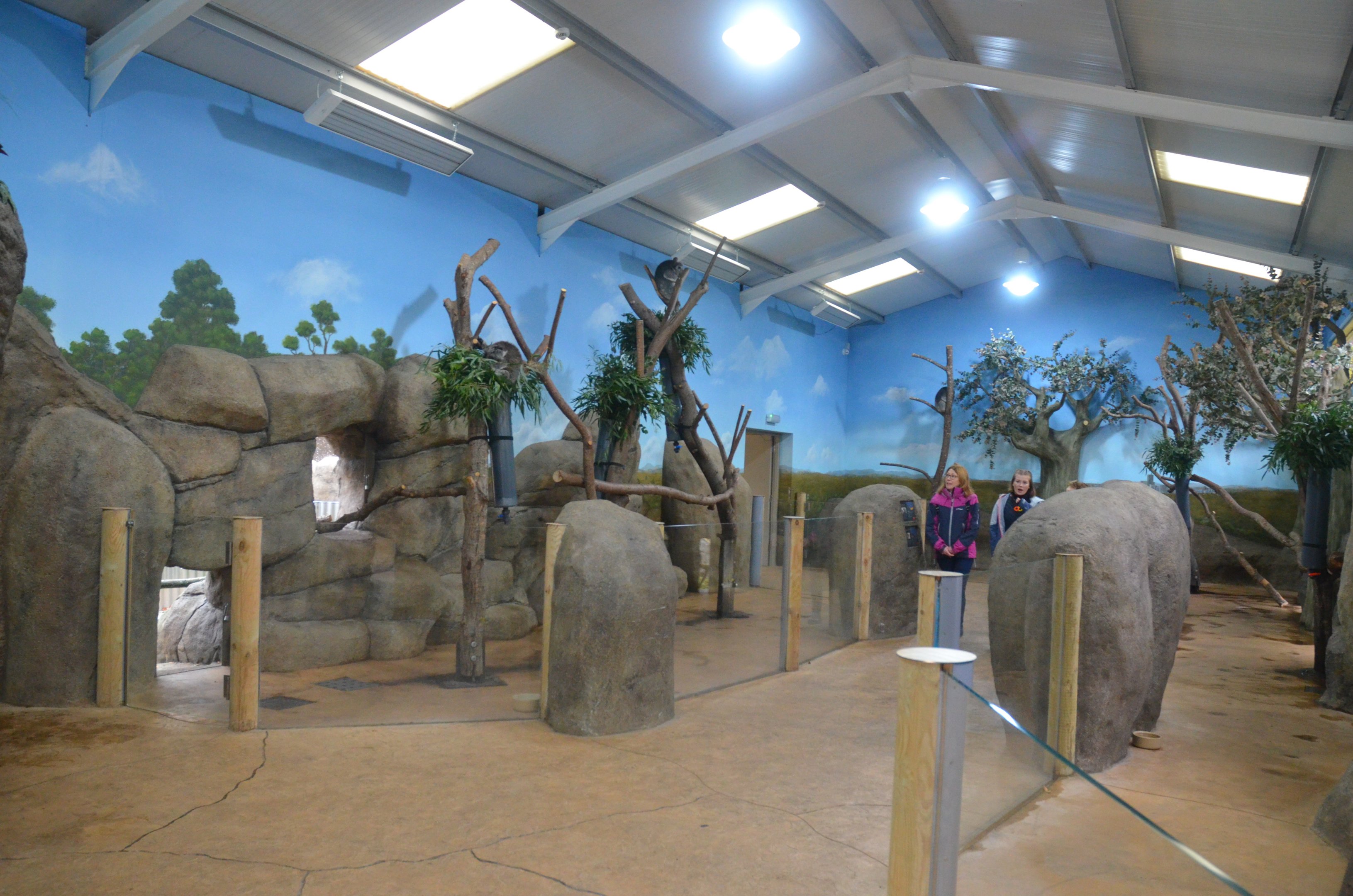 Koala and Potoroo Indoor Enclosures at Longleat, 03/11/19