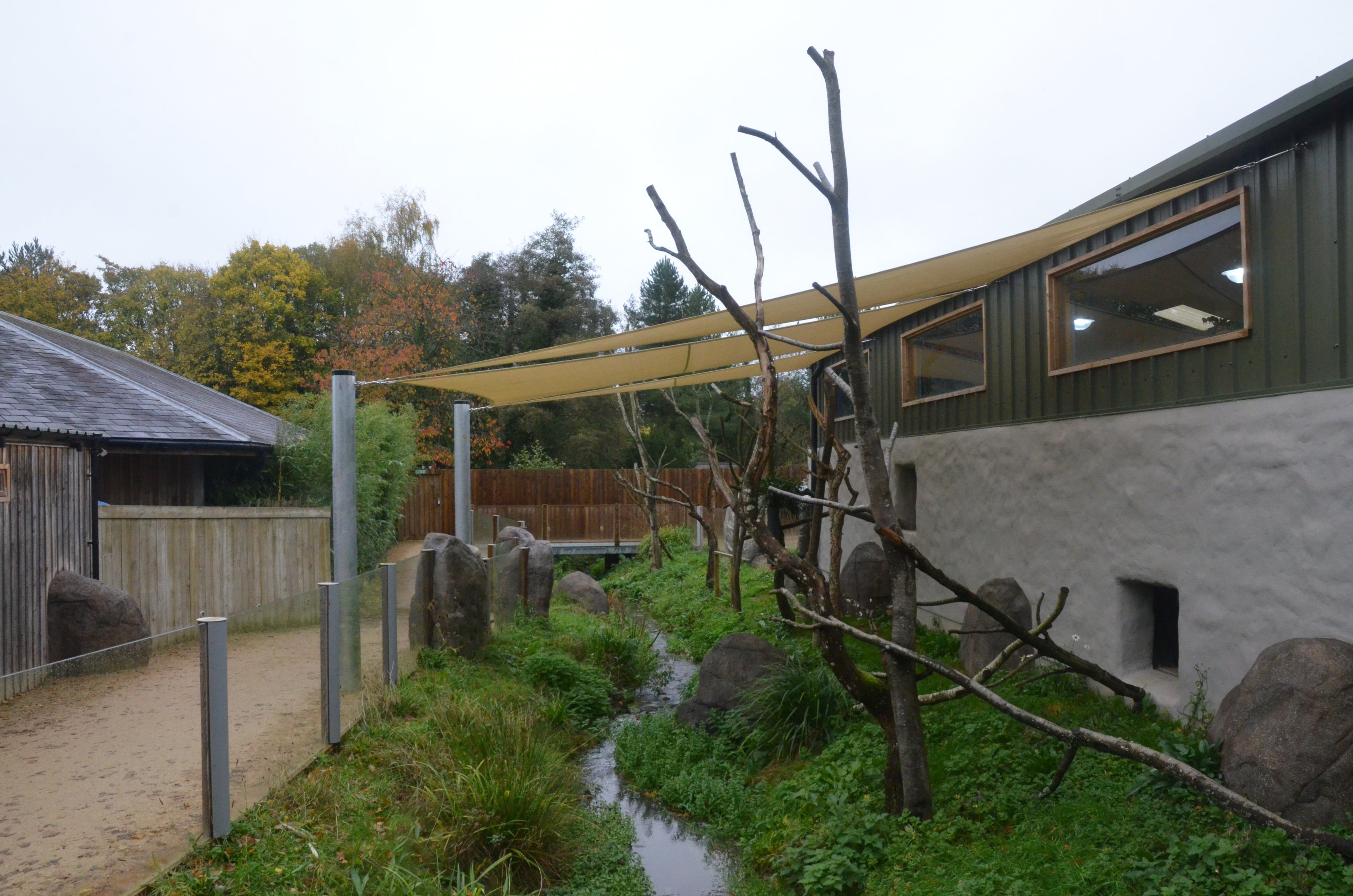 Koala and Potoroo Outdoor Enclosure at Longleat, 03/11/19