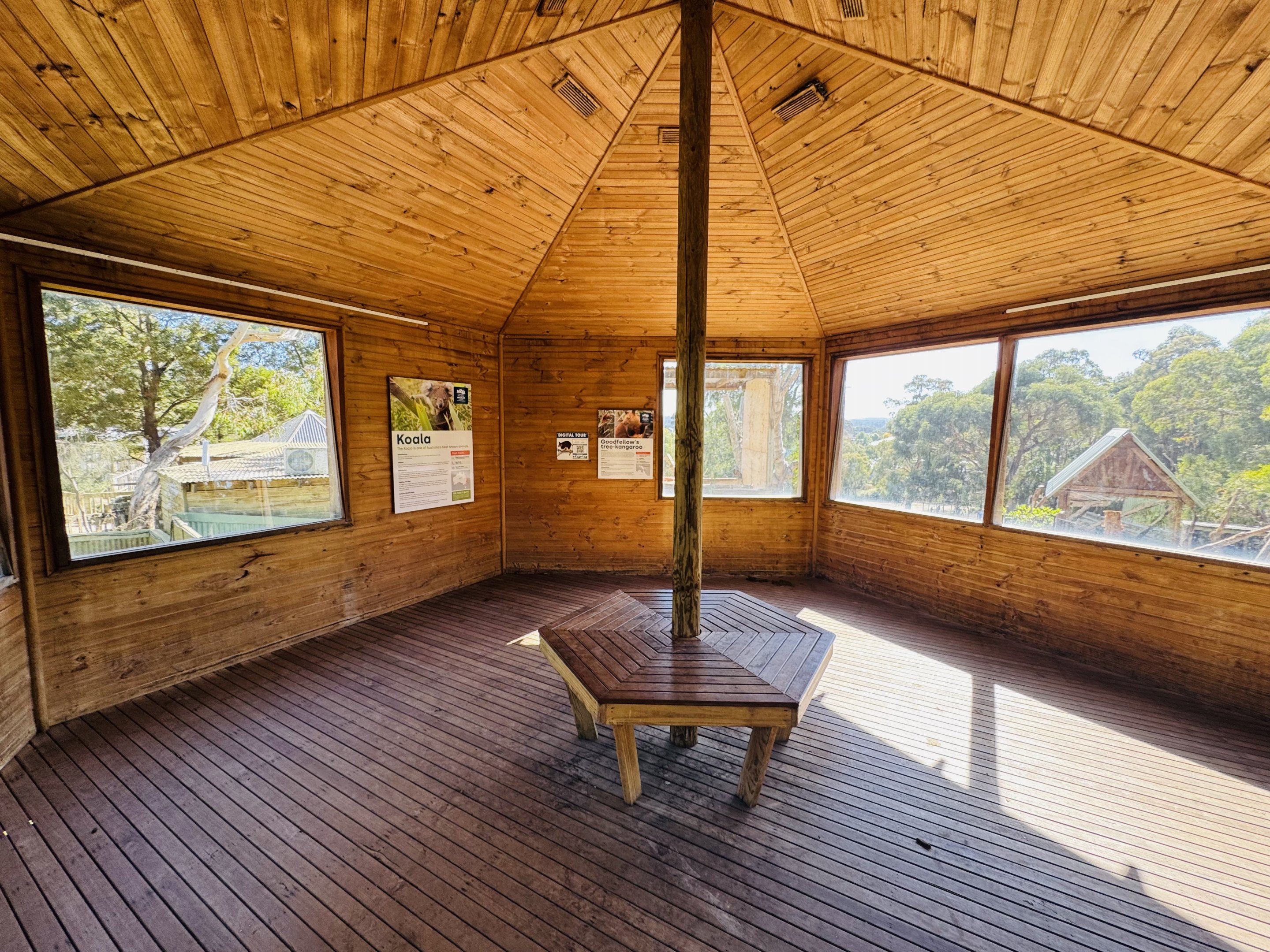 Koala and tree kangaroo building