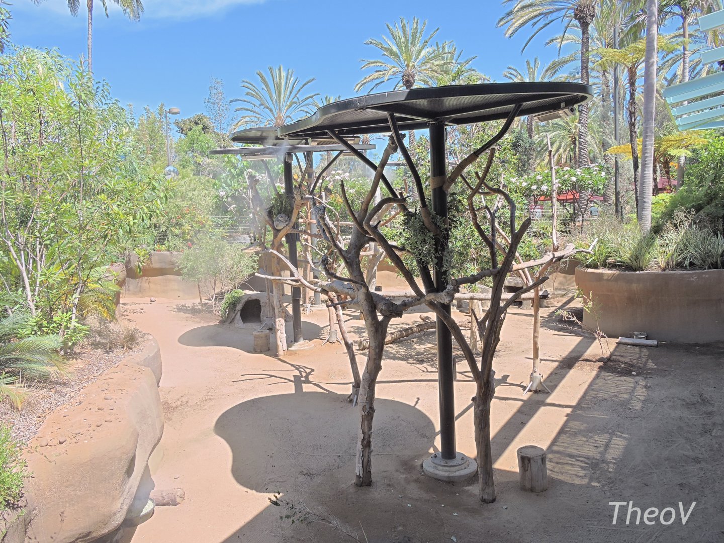 Koala and wallaby exhibit - Outback [2015]