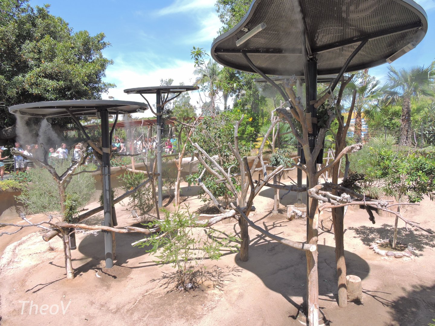 Koala and wallaby exhibit - Outback [2015]