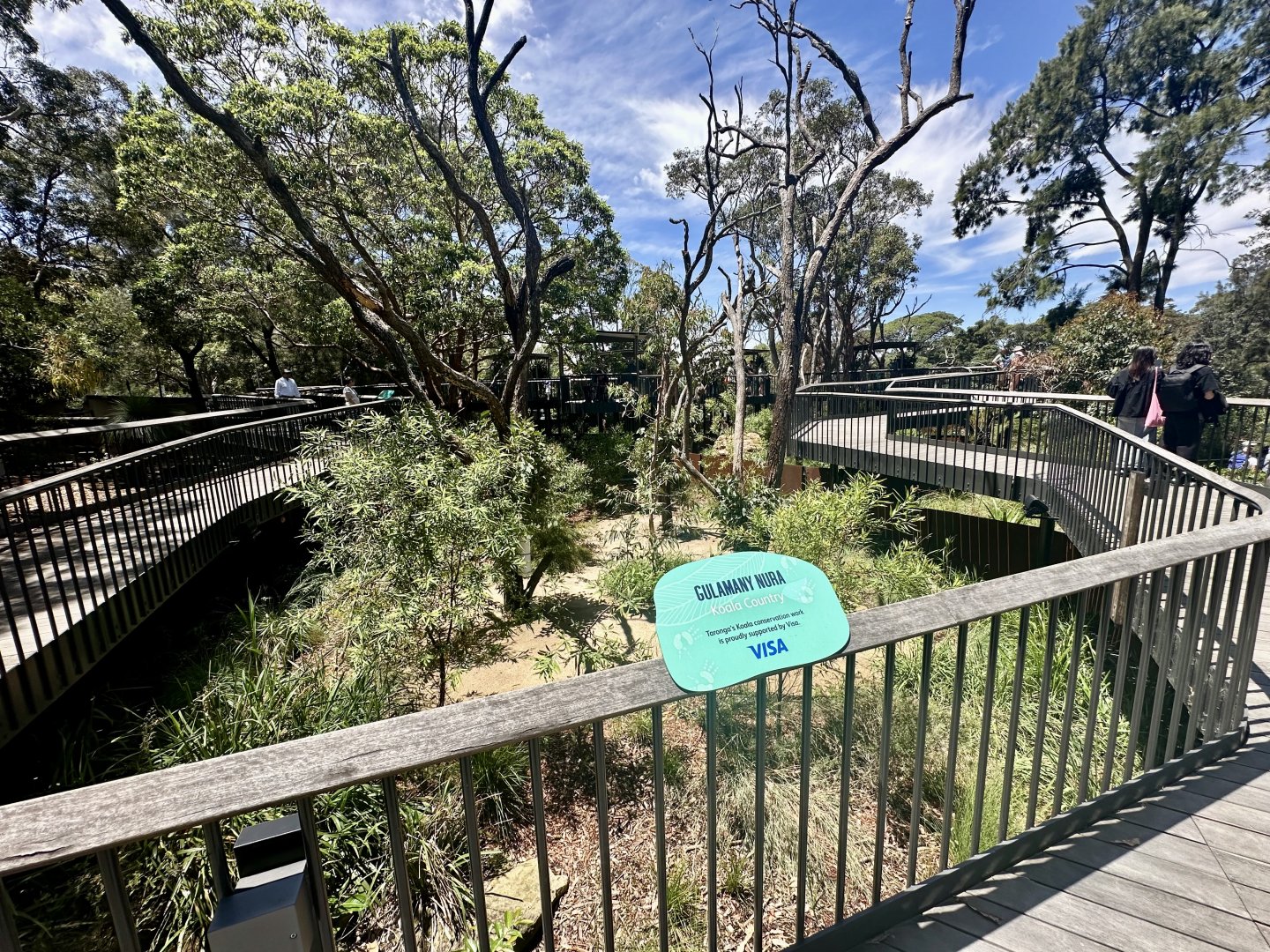 Koala Boardwalk