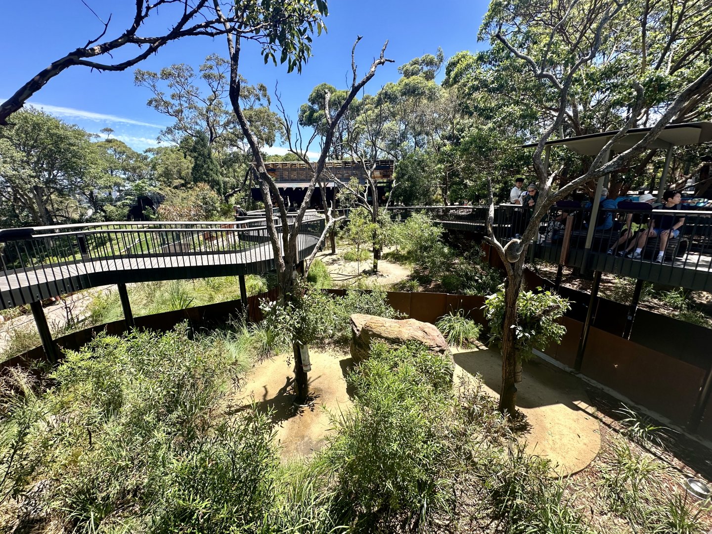 Koala Boardwalk