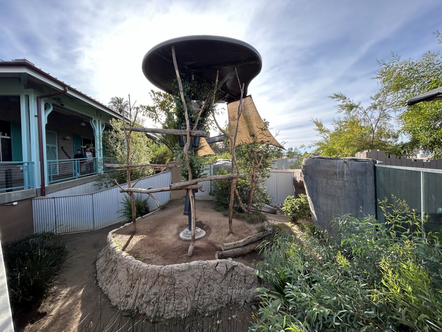 Koala & Brush-tailed Bettong Exhibit - Australian Outback
