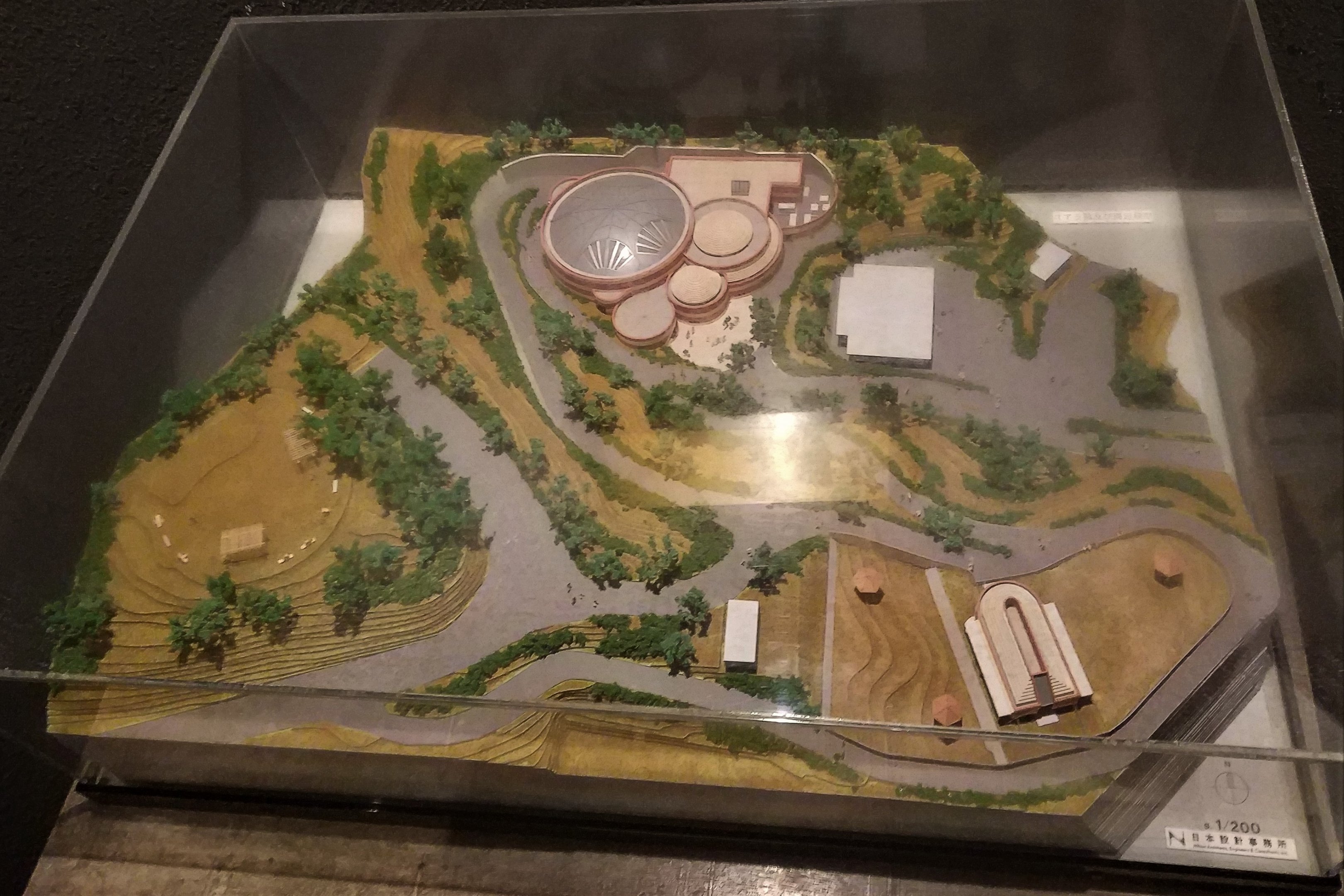 Koala Complex Model