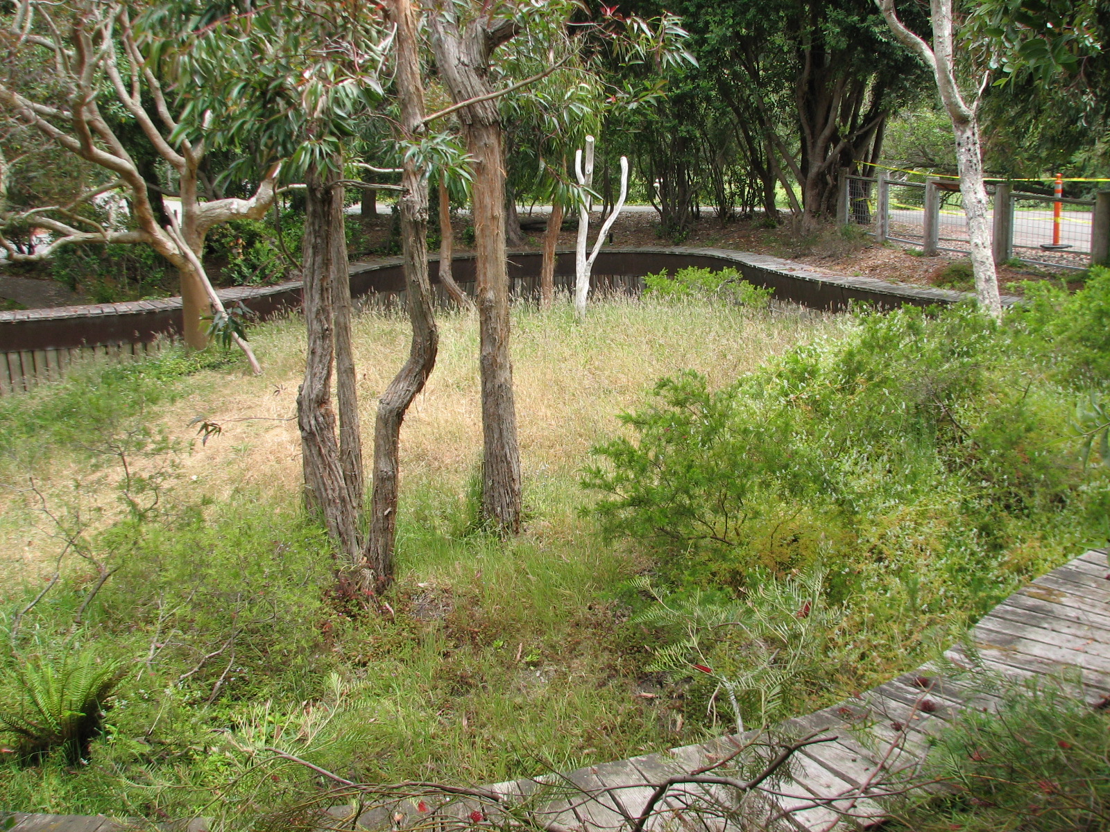 Koala Crossing - Outdoor Yard