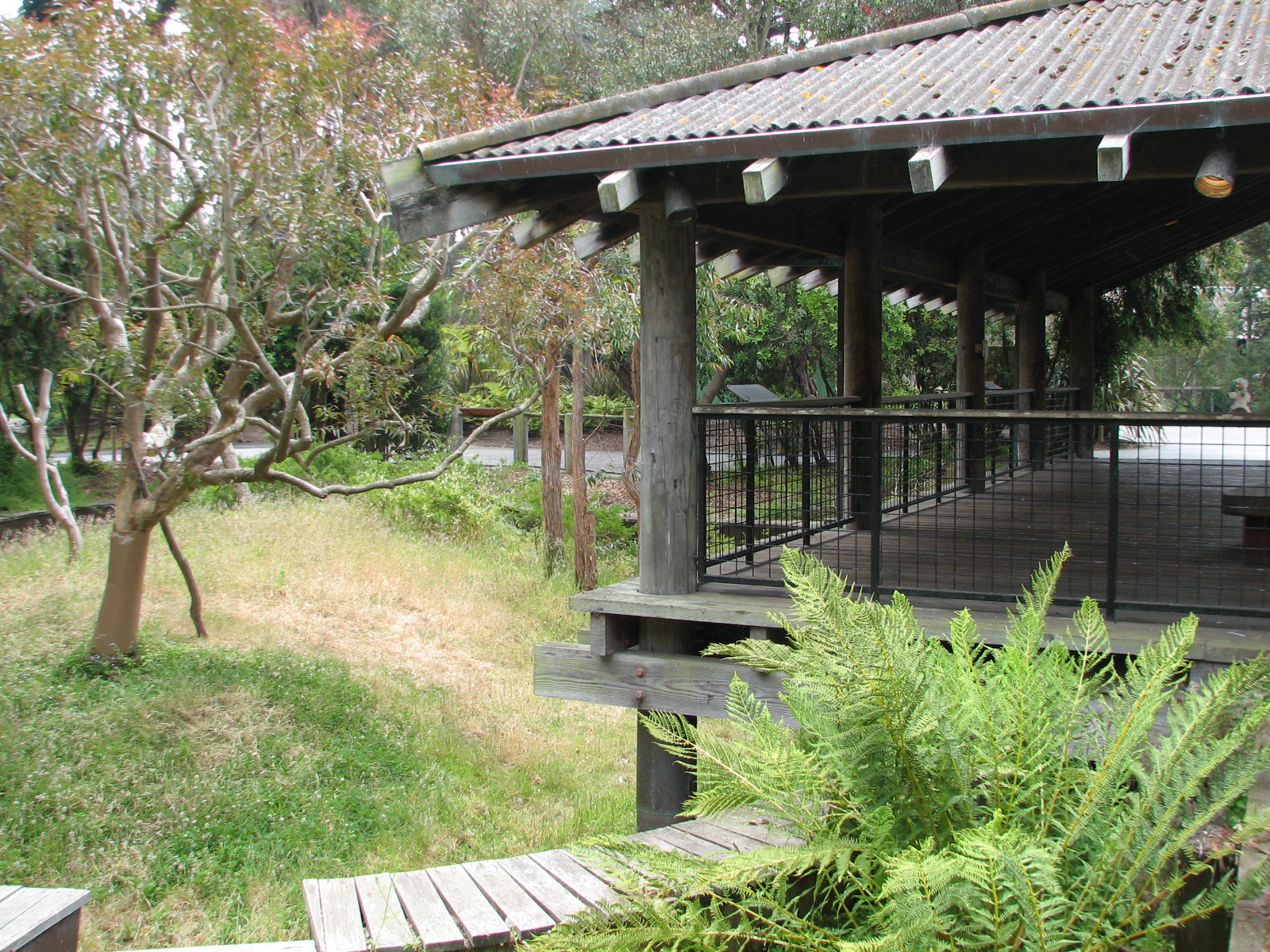 Koala Crossing - Outdoor Yard