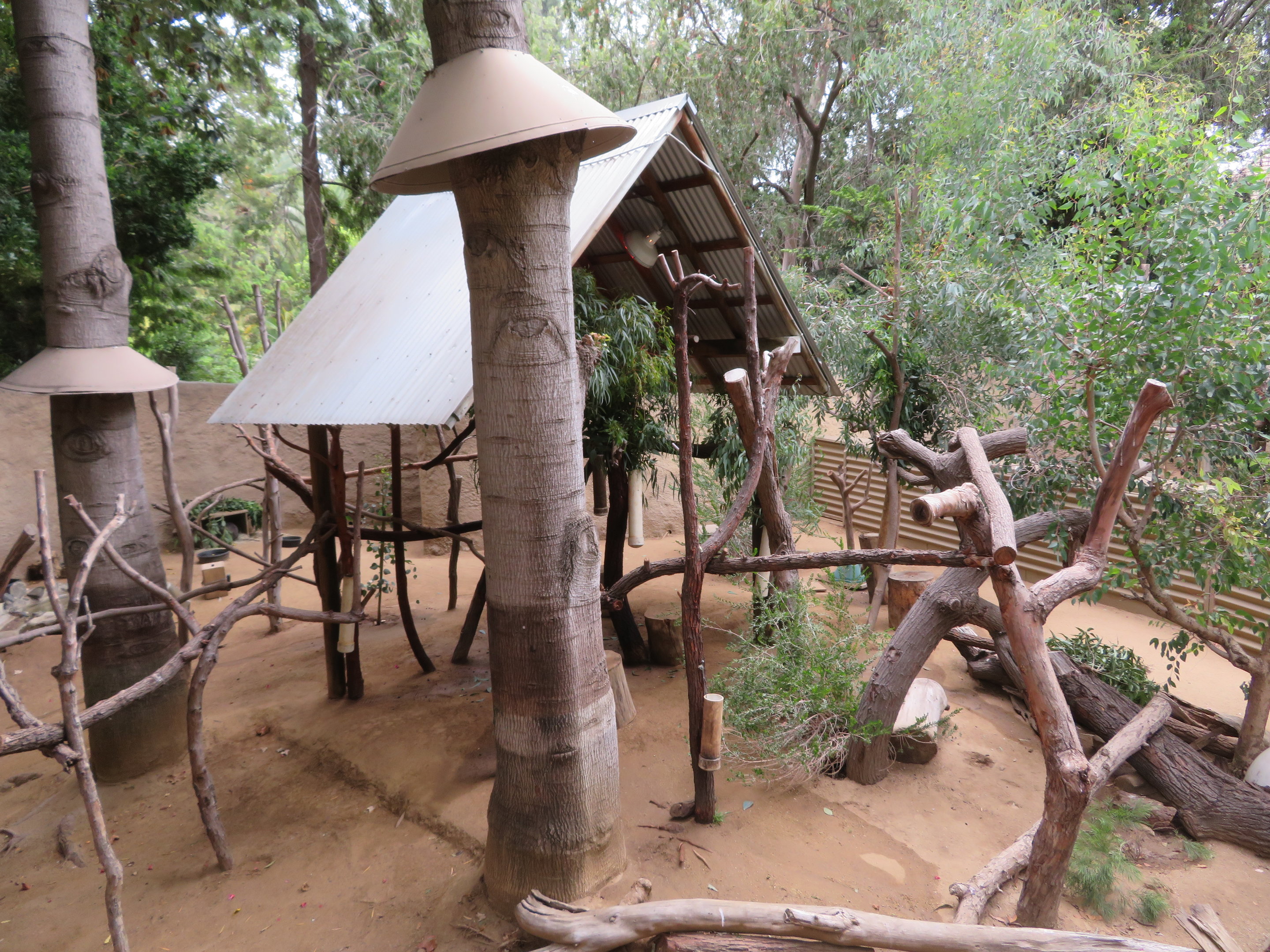 Koala/Echidna/Wallaby Exhibit