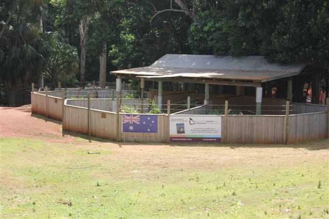 Koala Enclosure