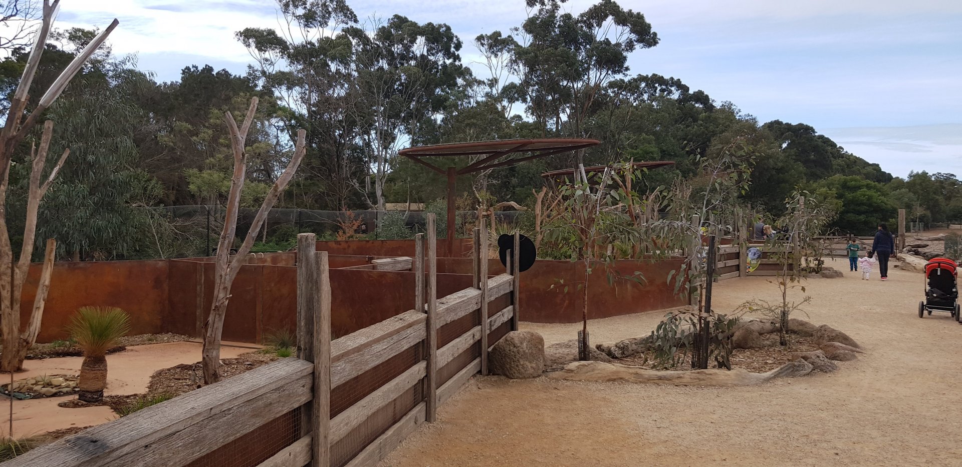 Koala enclosure