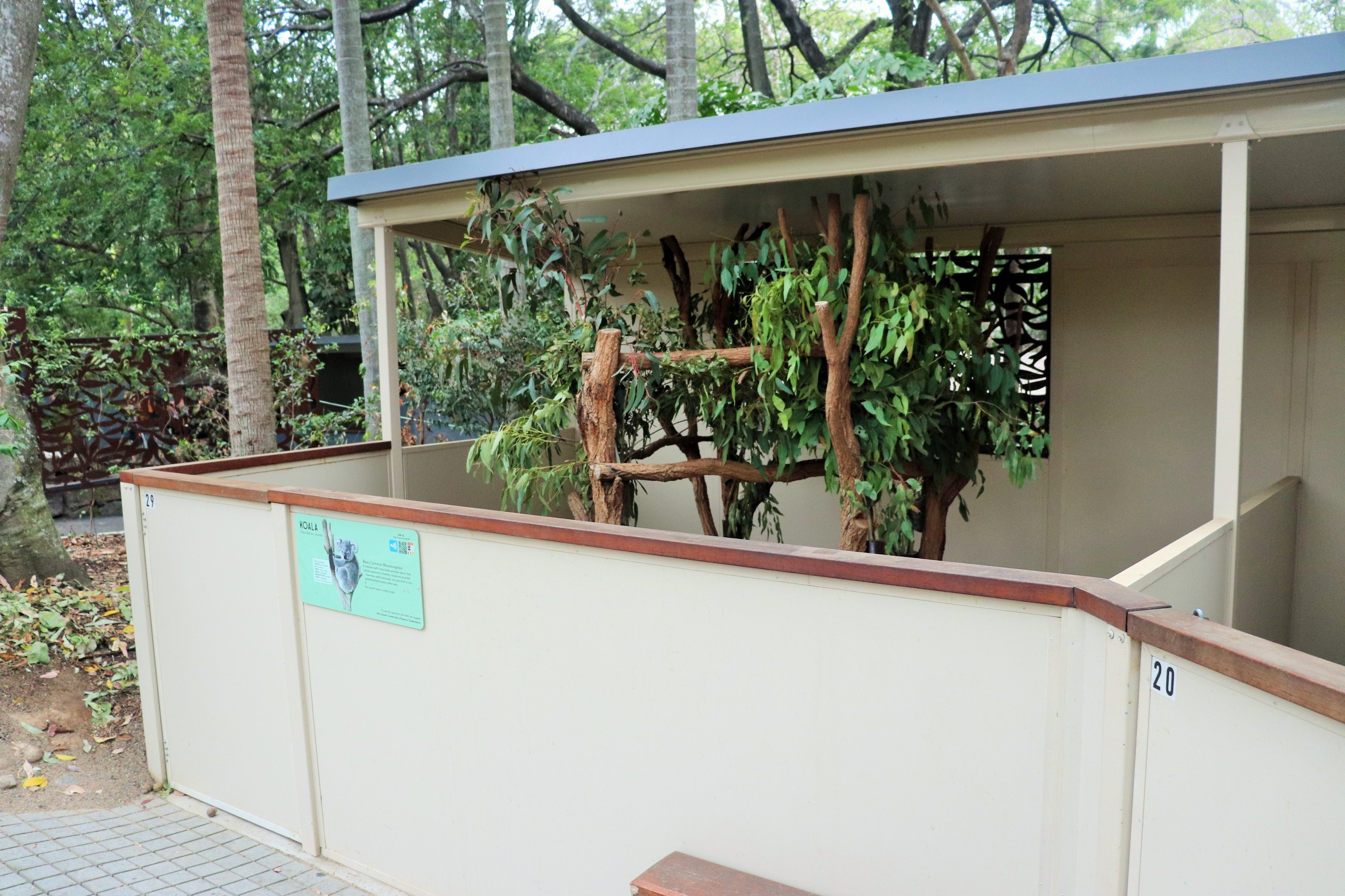 Koala Enclosure