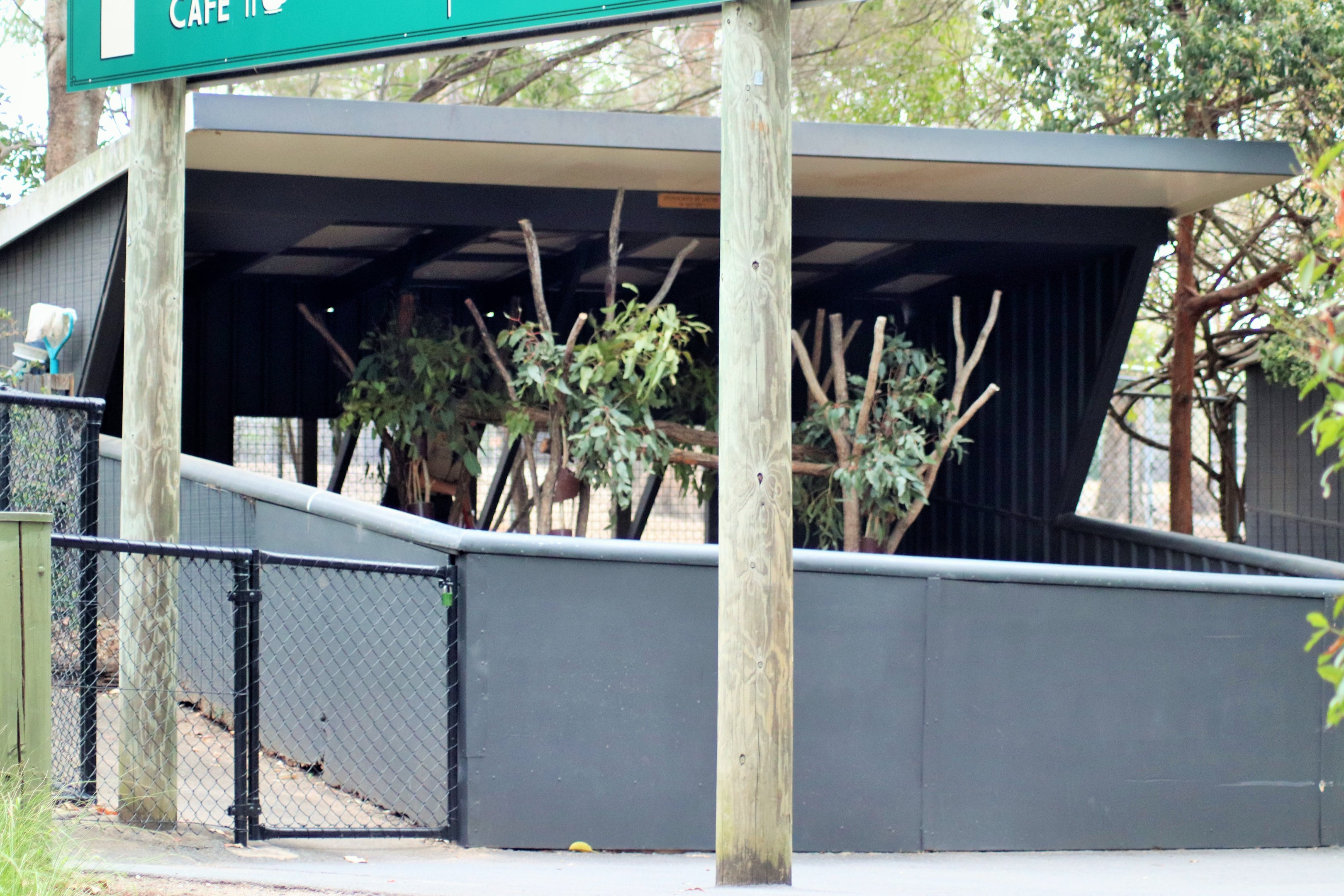 Koala Enclosure