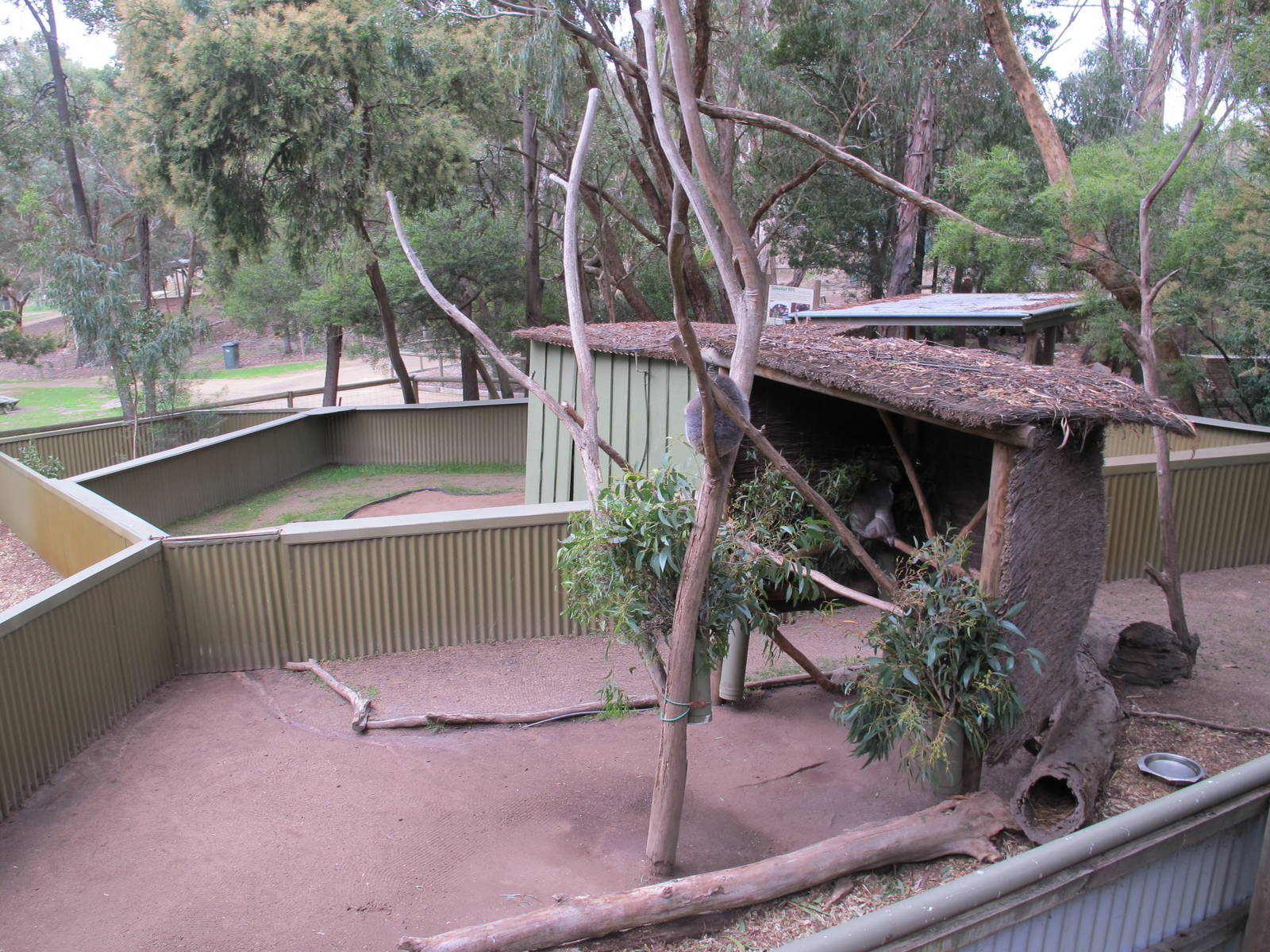 Koala Enclosures - Ballarat Wildlife Park May 2013