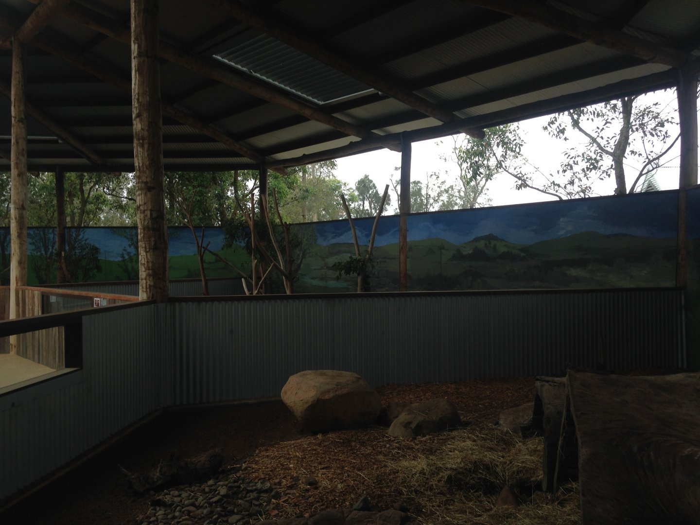 Koala enclosures in 'Koala Country'