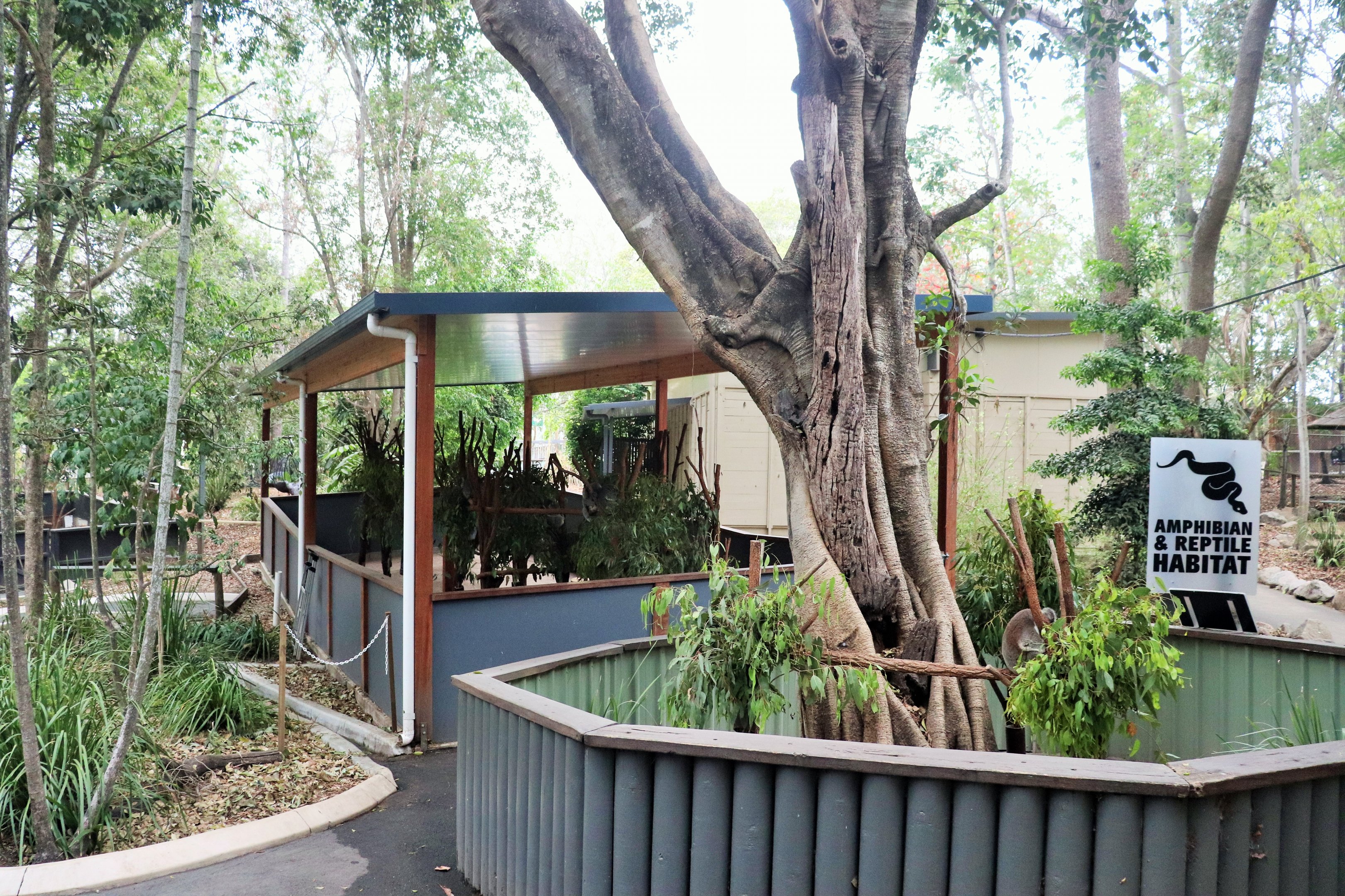 Koala Enclosures