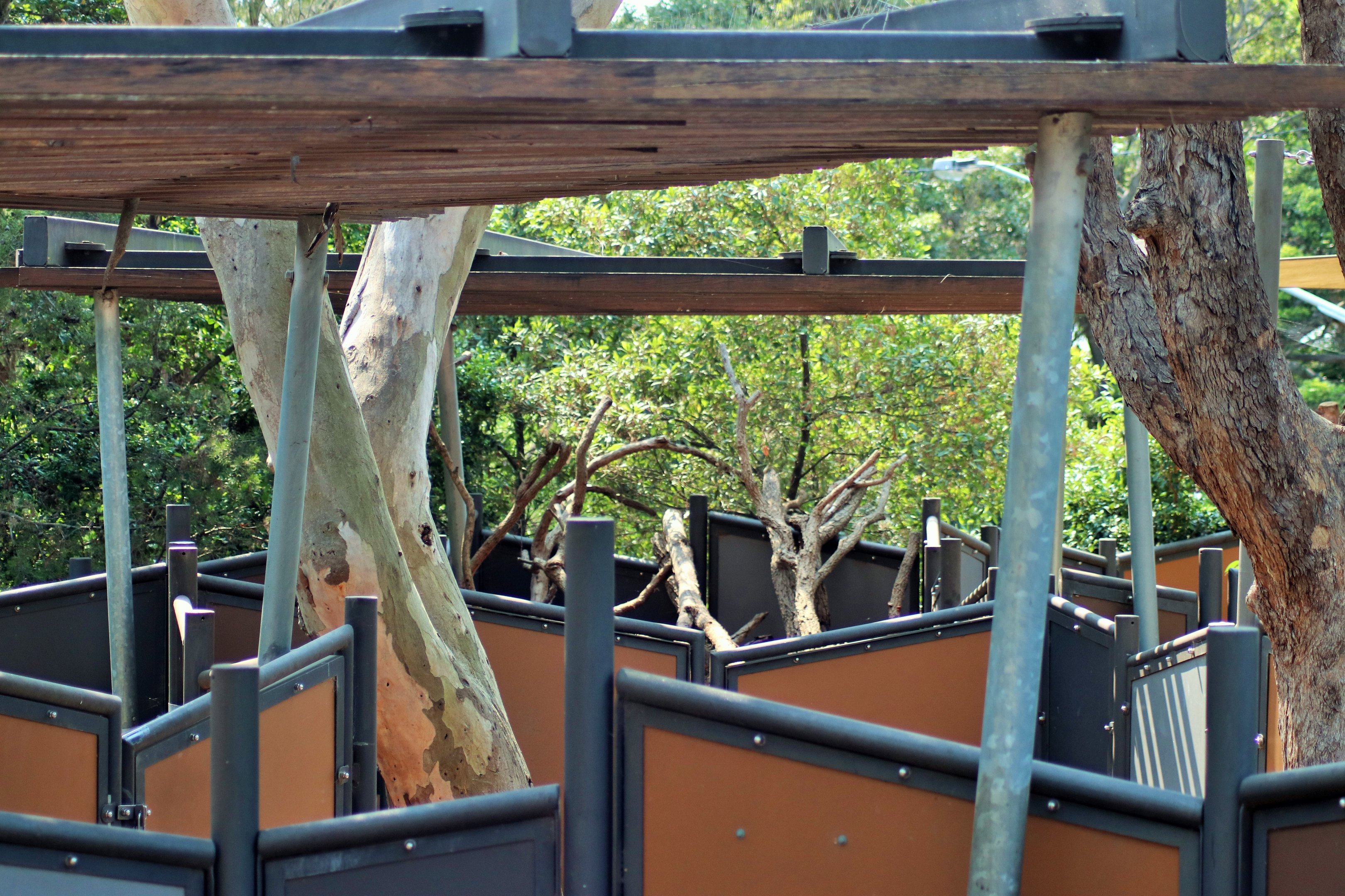 Koala Enclosures