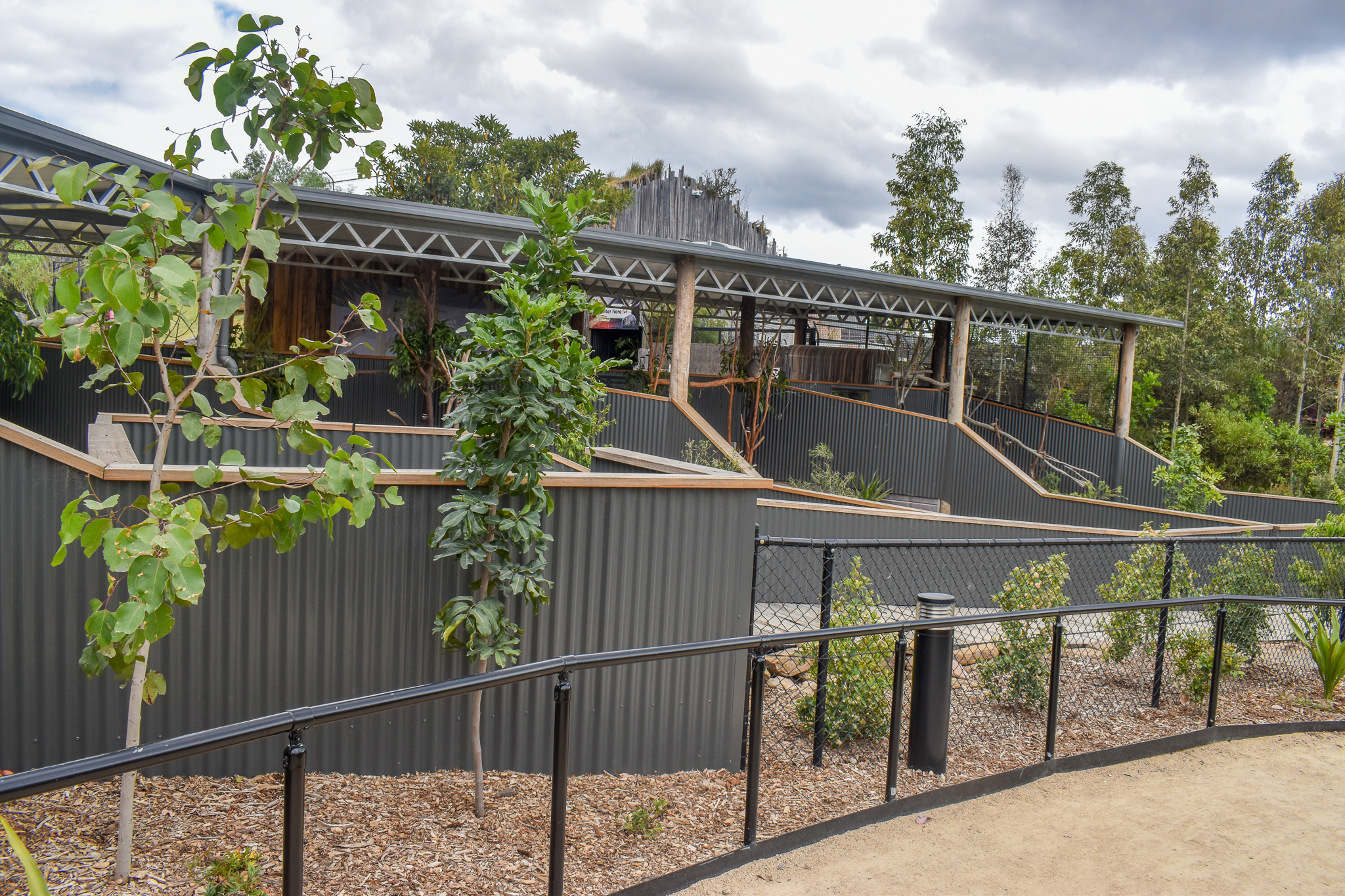 Koala Enclosures