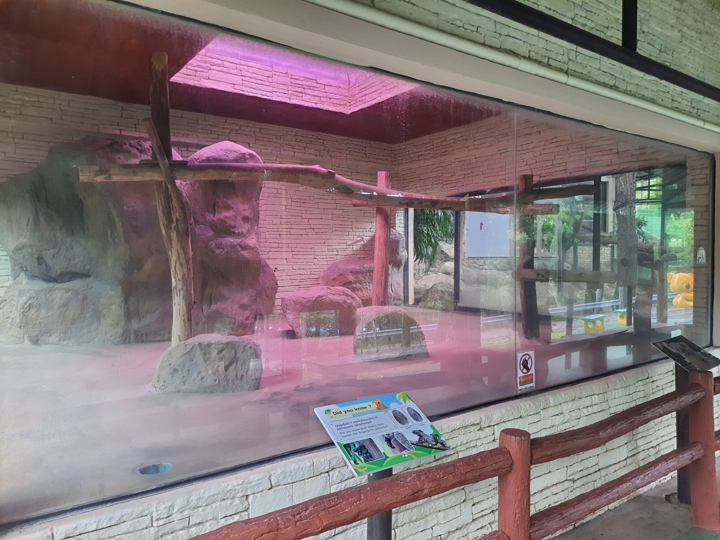 Koala Exhibit #1- Chiang Mai Zoo