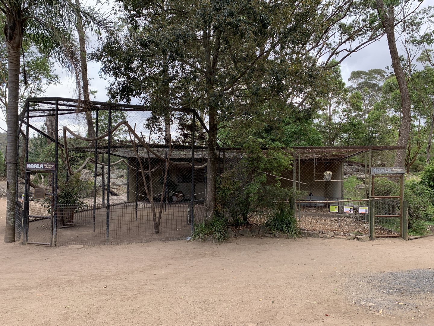 Koala Exhibit and Aviary