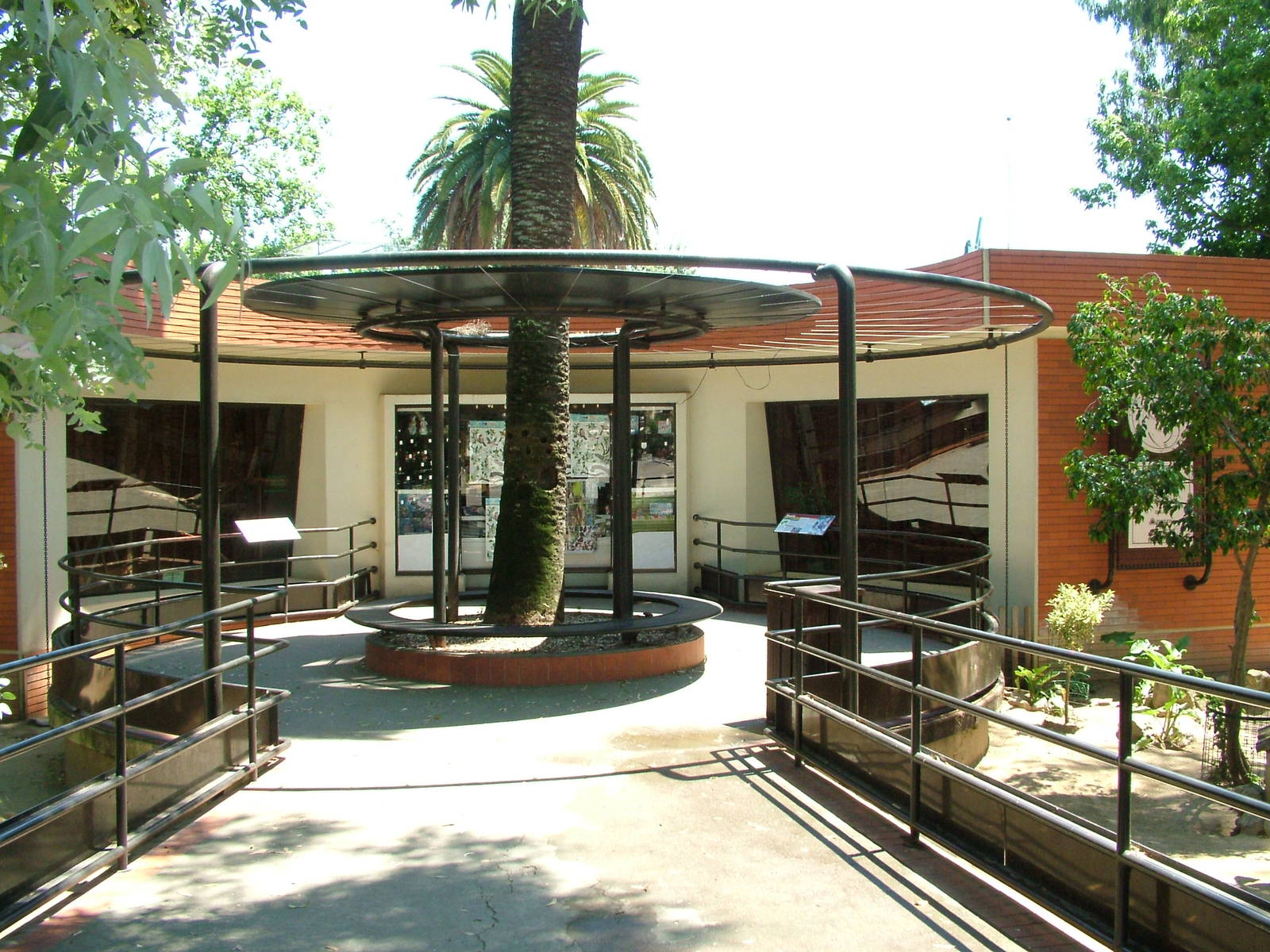 Koala Exhibit at Lisbon Zoo, 24/05/11